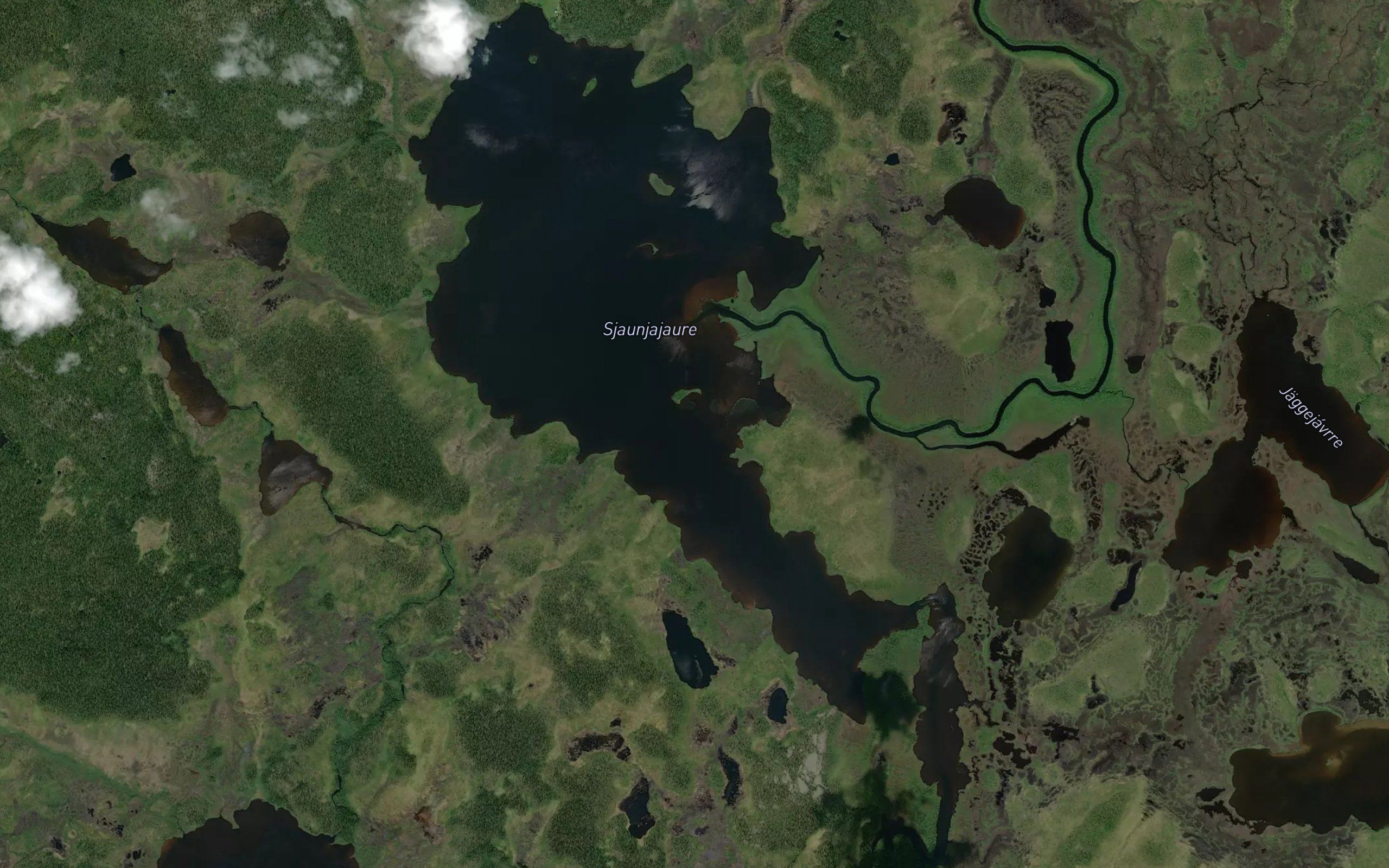 Sjaunjajaure