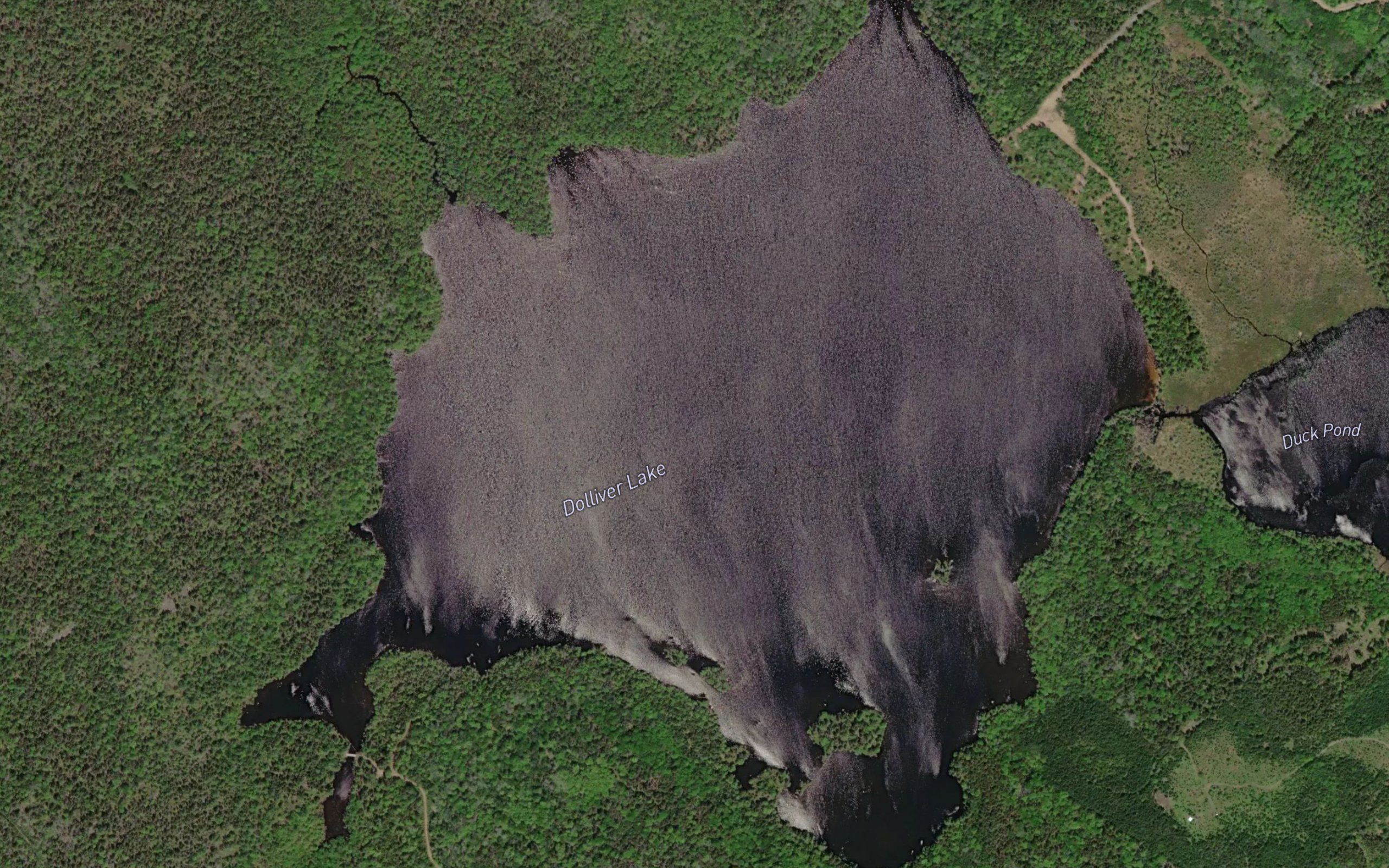 Dolliver Lake