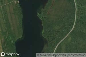 Kamsajarvi