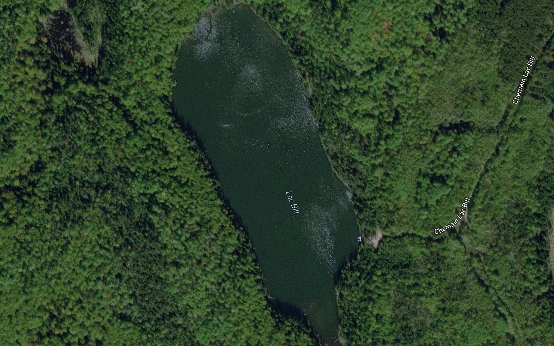 Satellite map of the Lac Bill