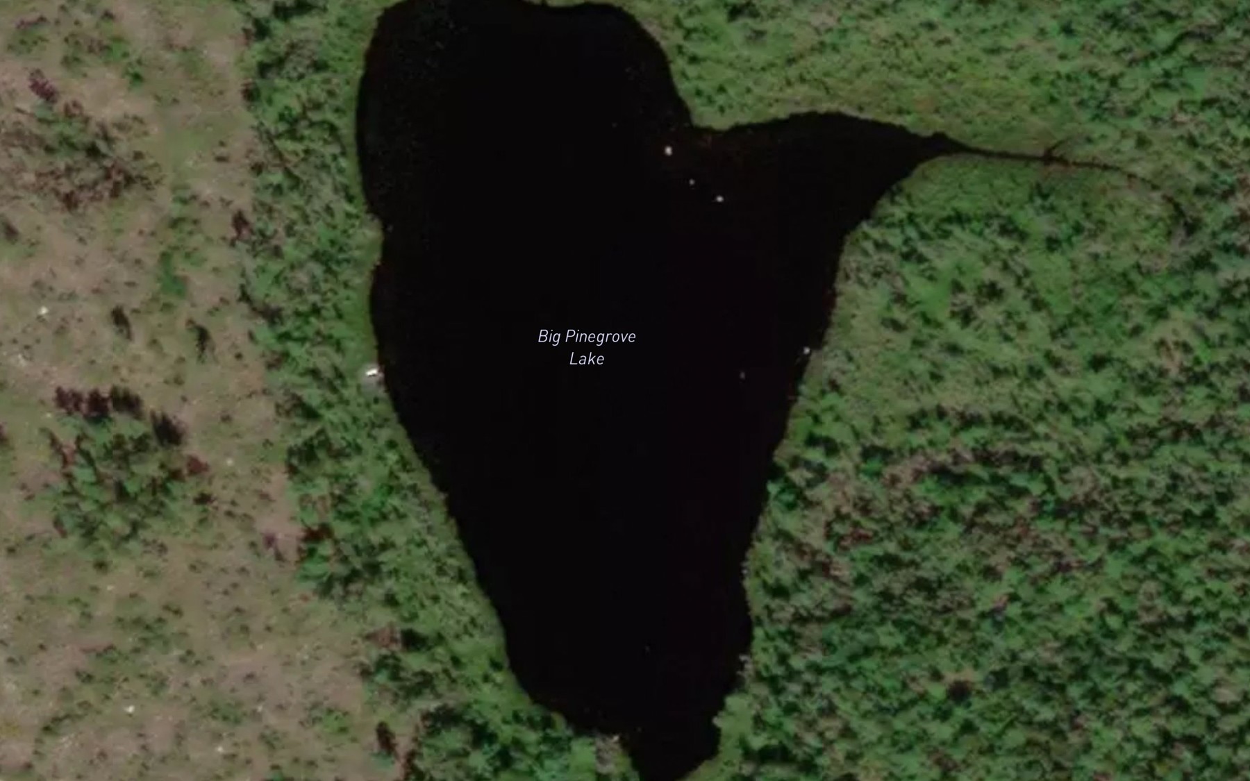 Satellite map of the Big Pinegrove Lake
