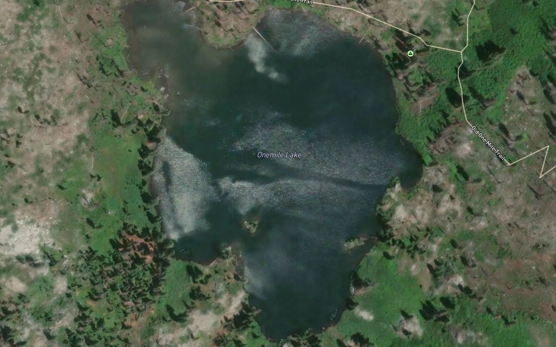 Satellite map of the Onemile Lake