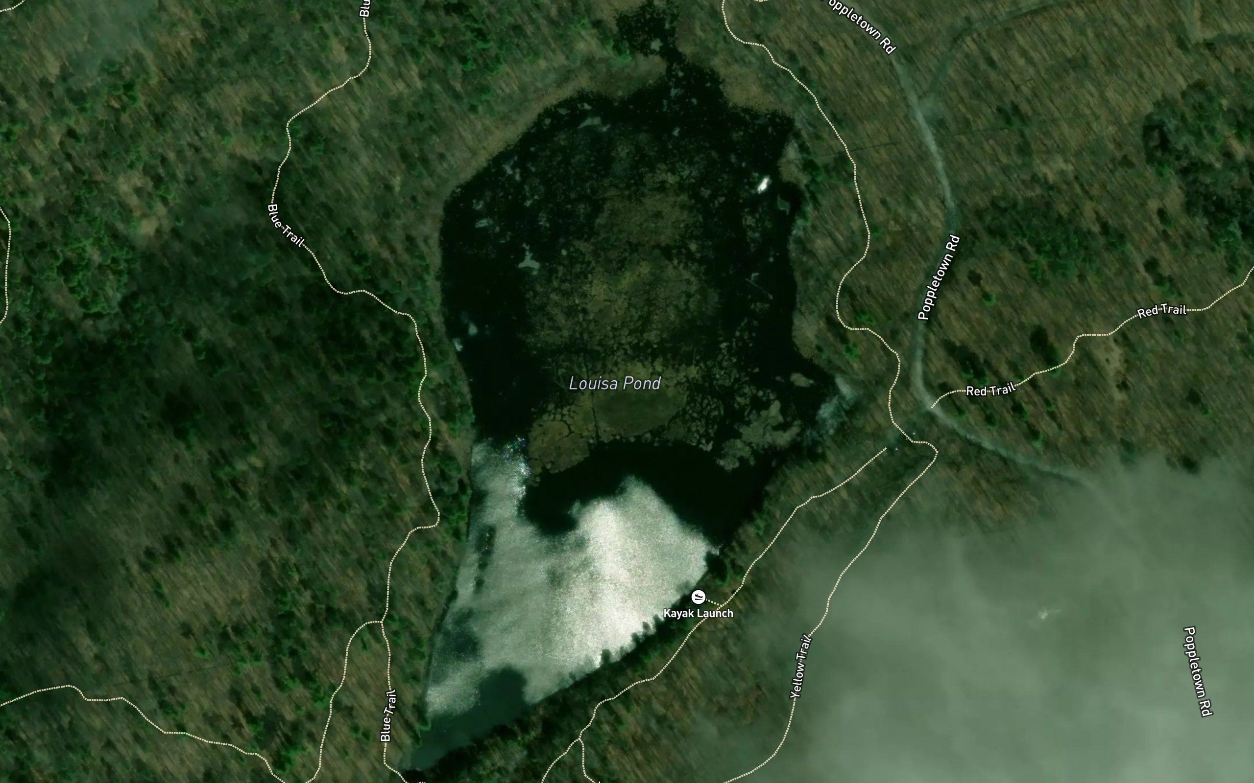Louisa Pond