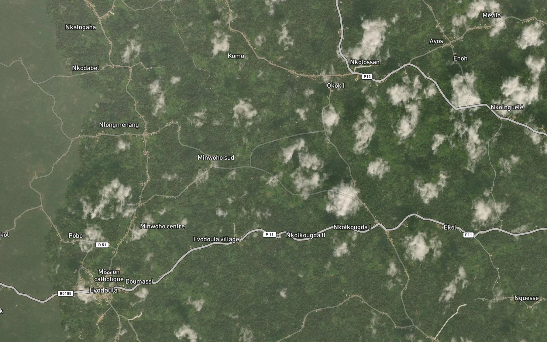 Satellite map of the Ngele
