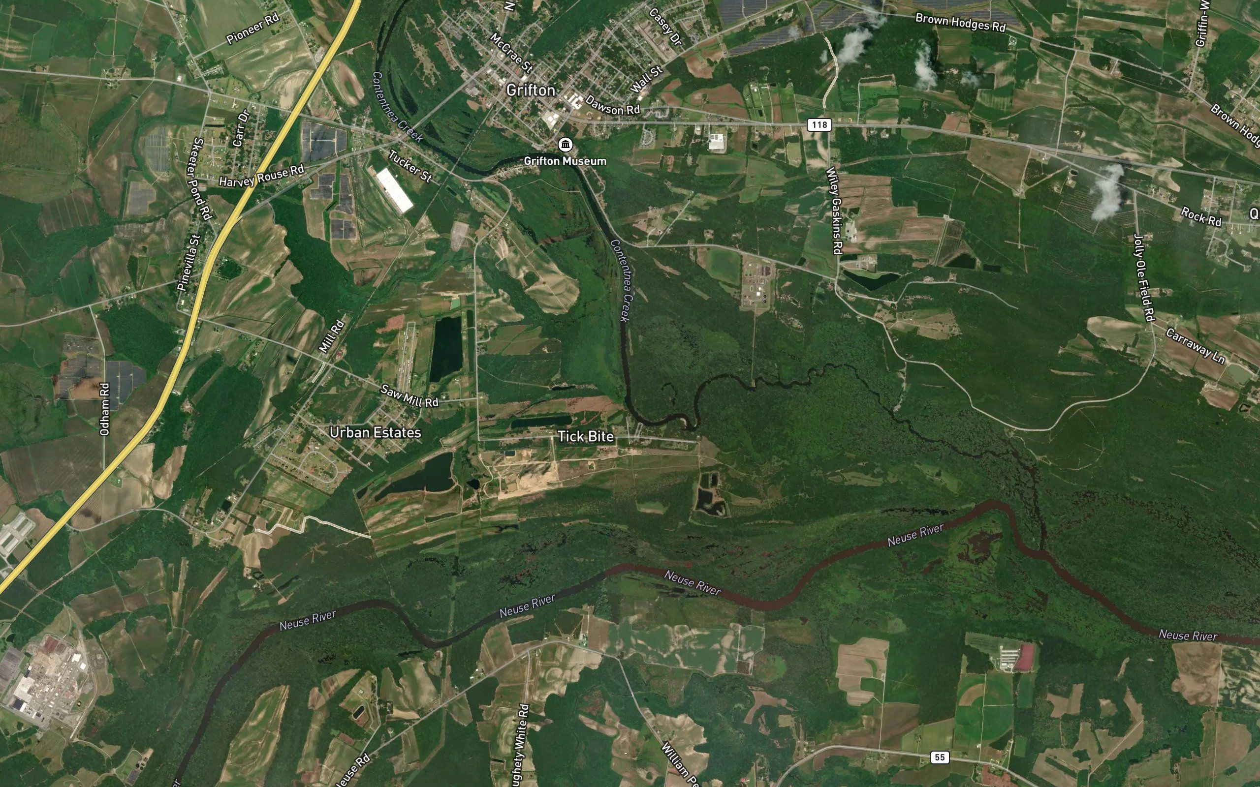 Eagle Swamp