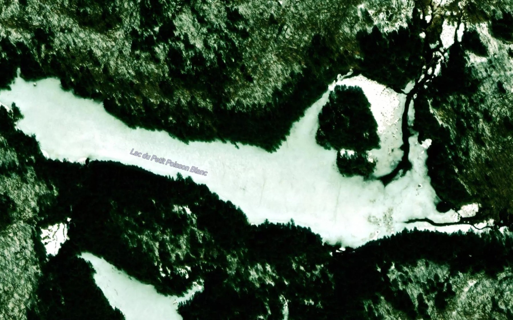 Satellite map of the Lac du Petit Poisson Blanc
