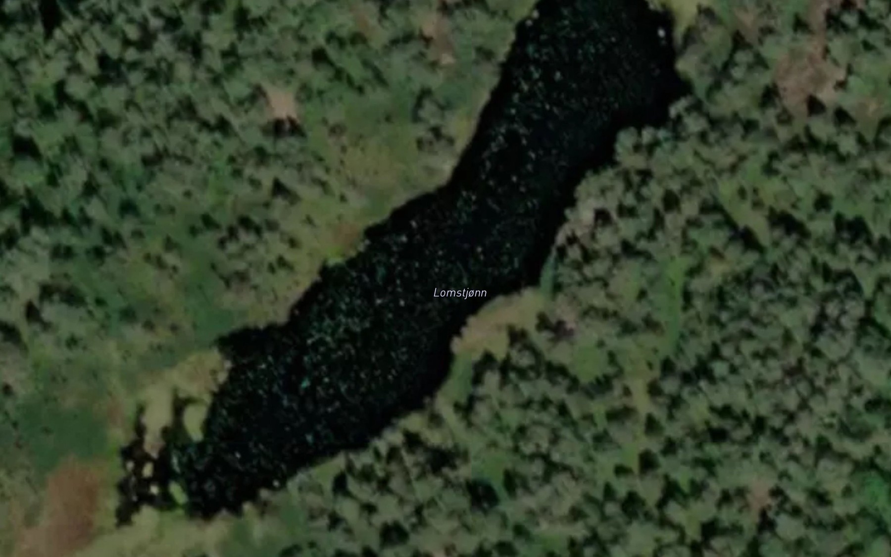 Satellite map of the Lomstjonn