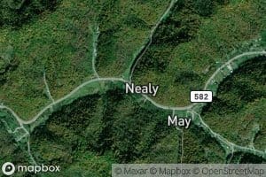 Nealy Branch