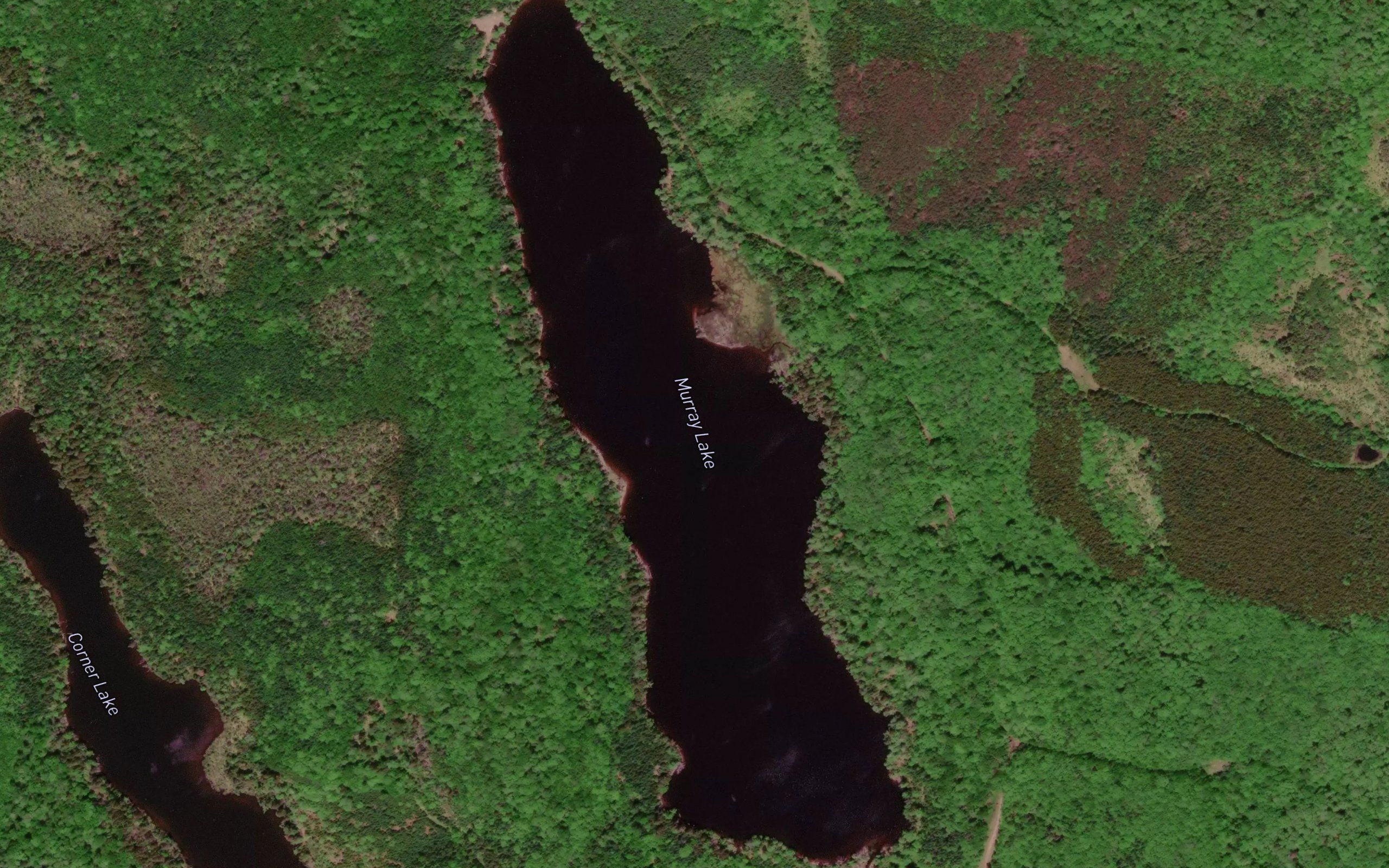 Murray Lake