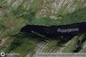 Repptjorna