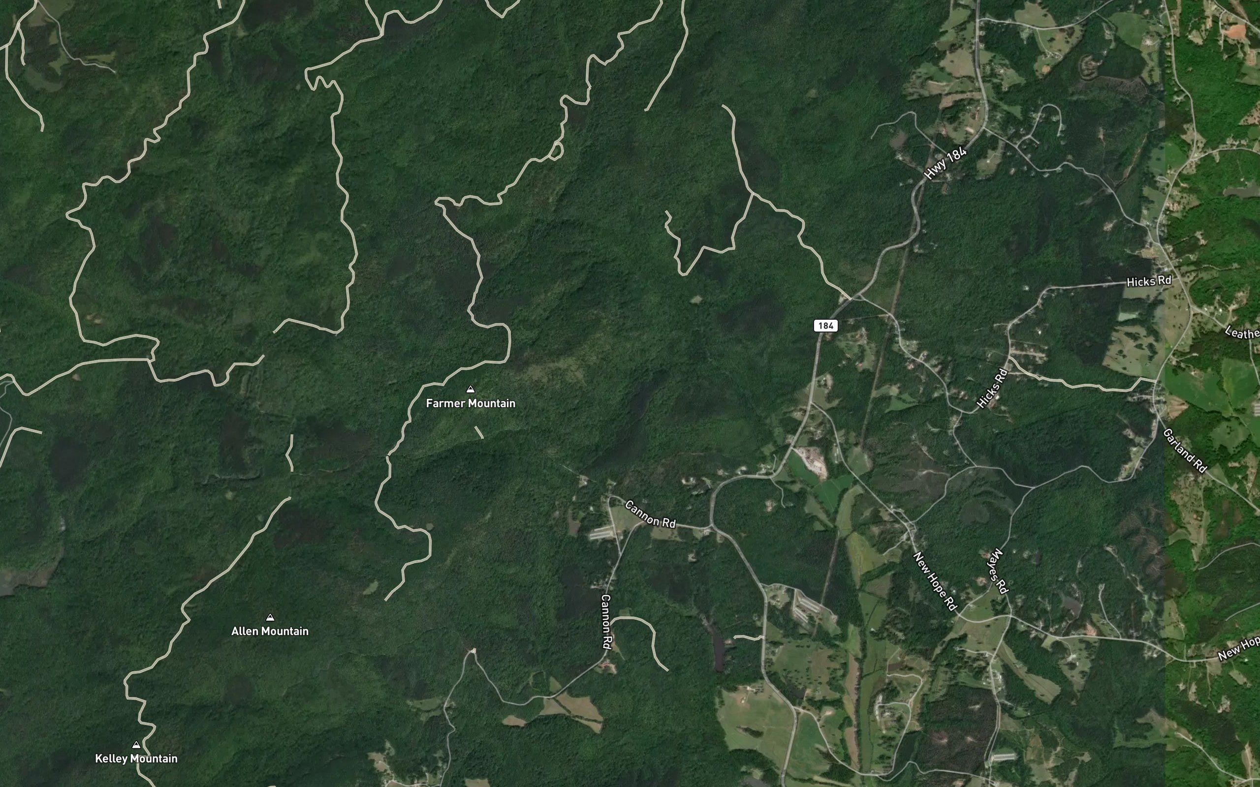 Rushie Branch