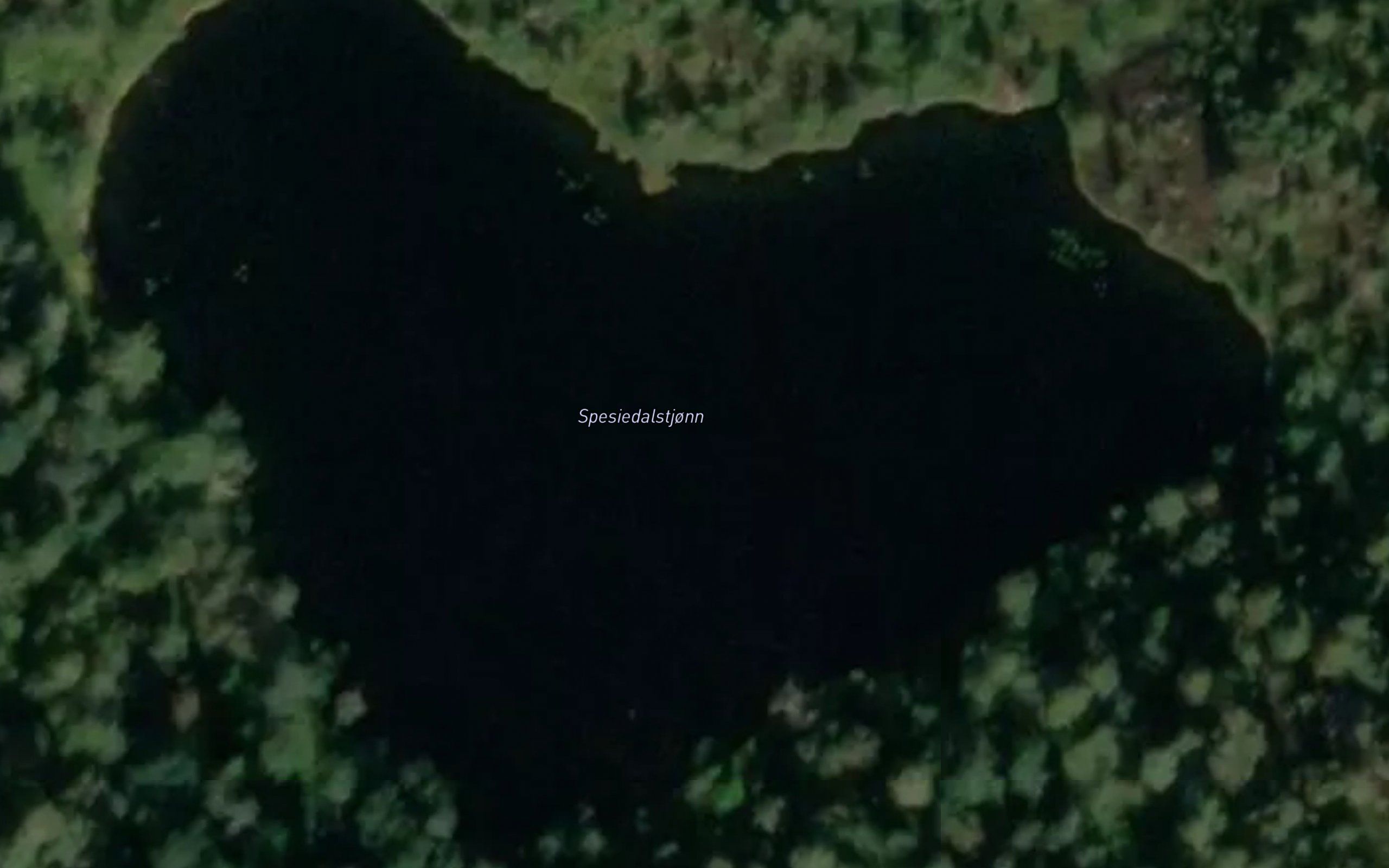 Spesidalstjorn