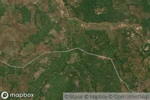 Ngombe