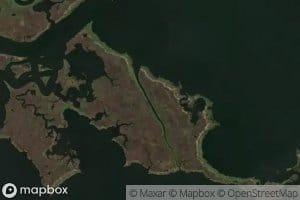 Polk and Dallas Bayou