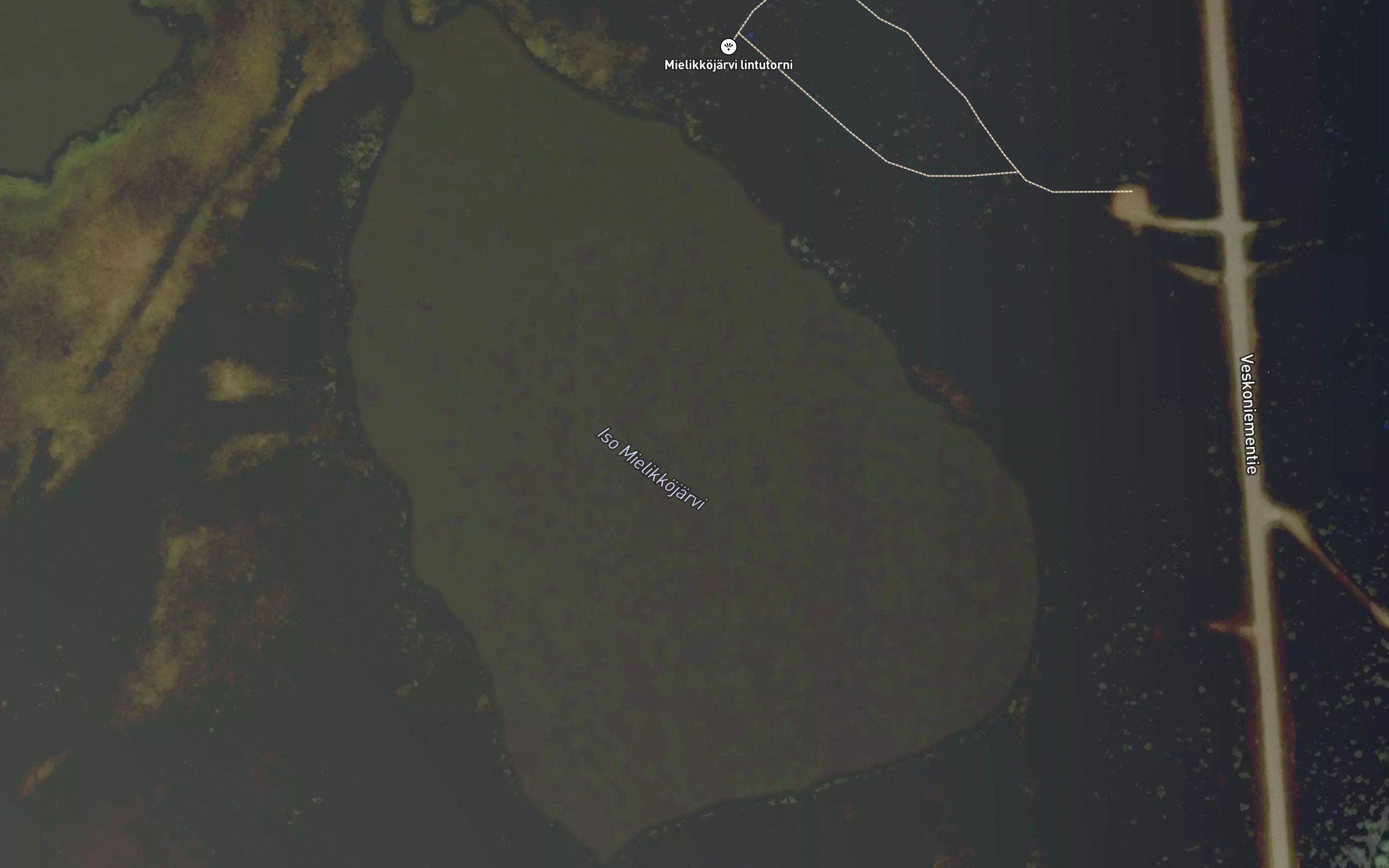Iso Mielikkojarvi