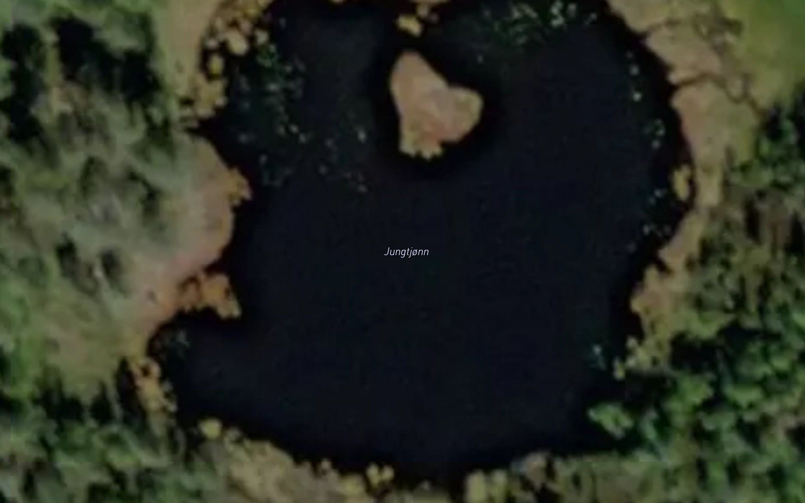 Jungtjonn