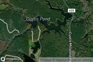 Custis Pond