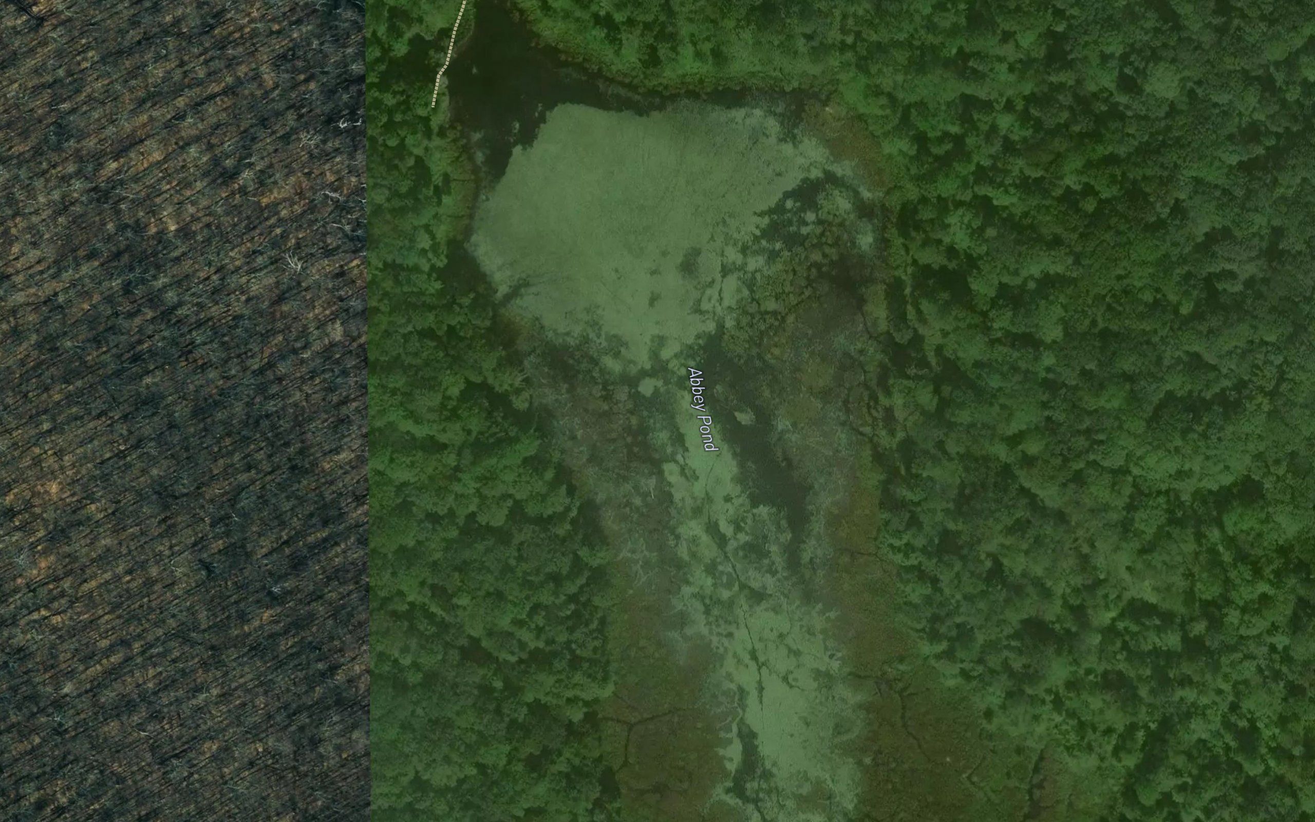 Abbey Pond