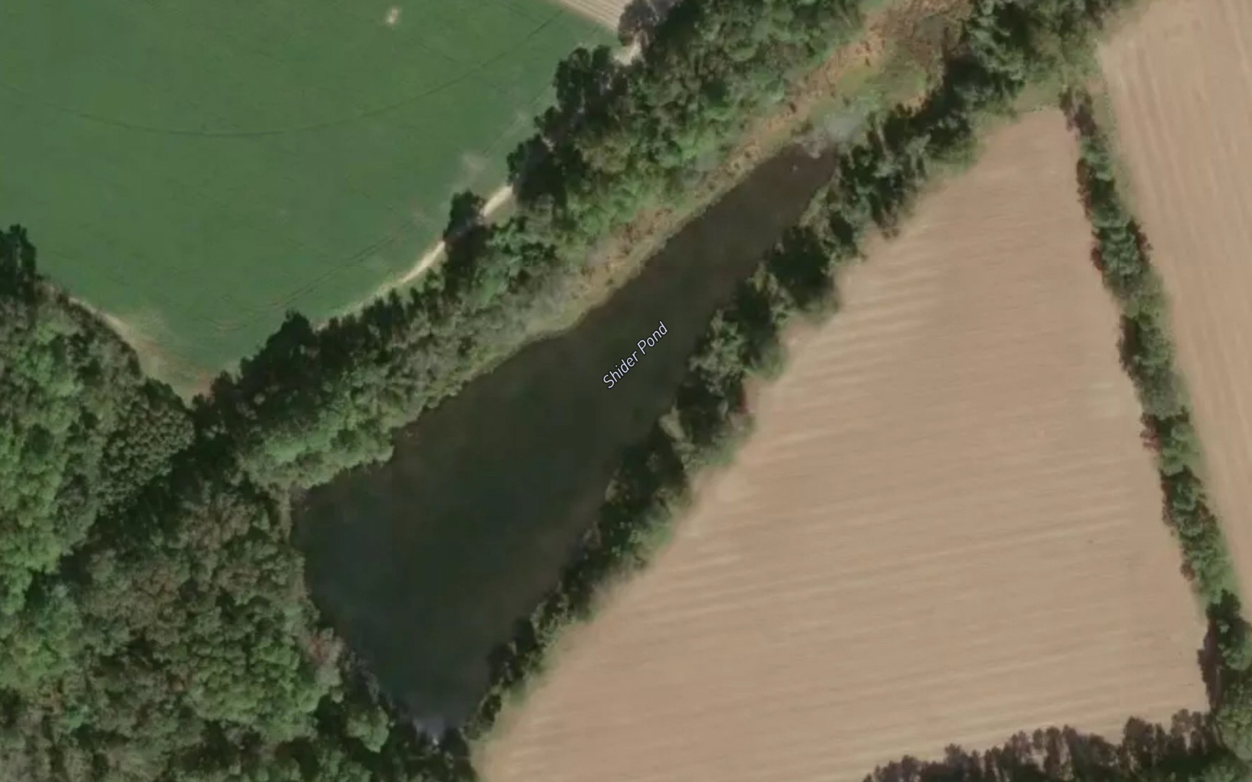 Satellite map of the Shider Pond