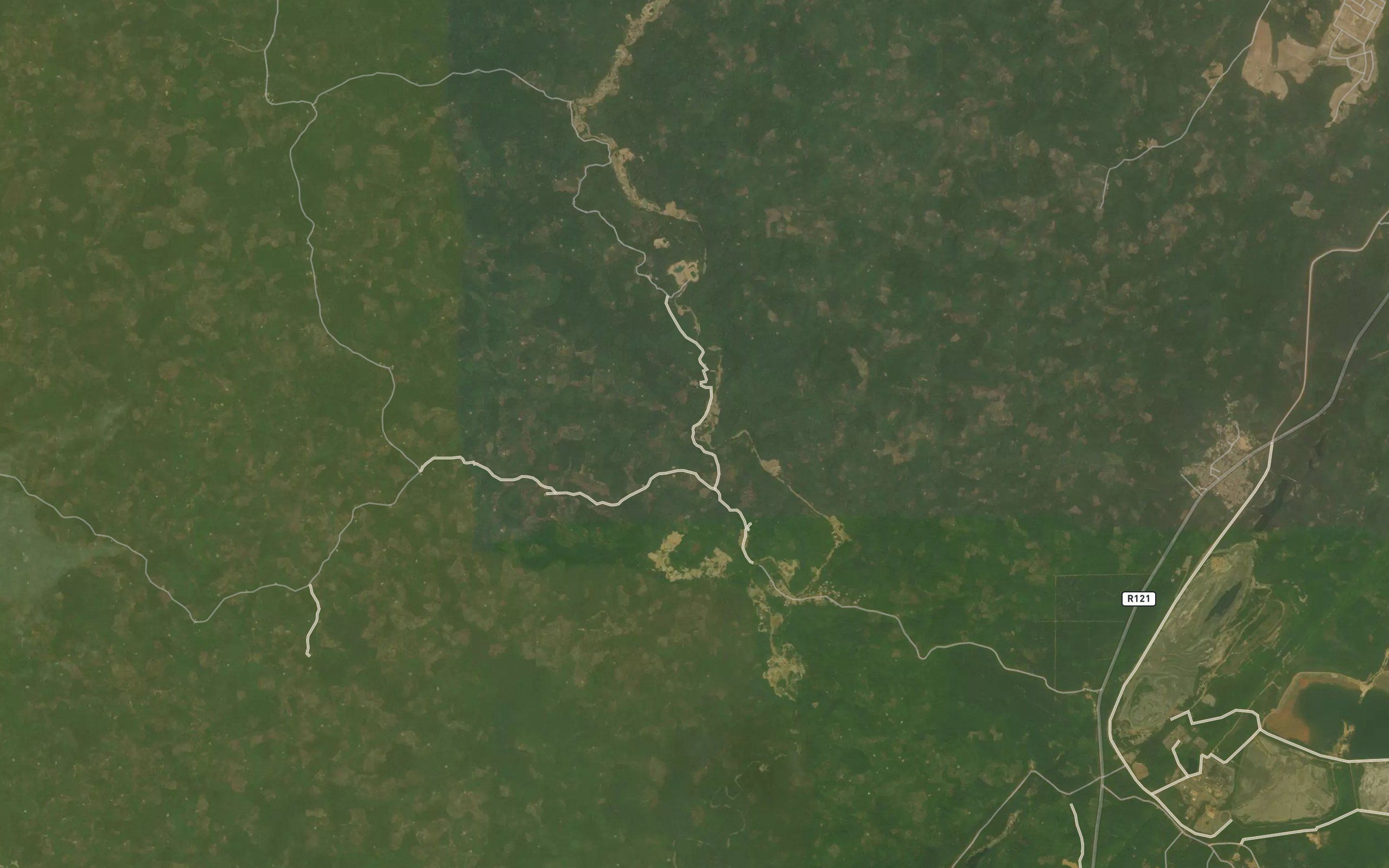 Kodiba