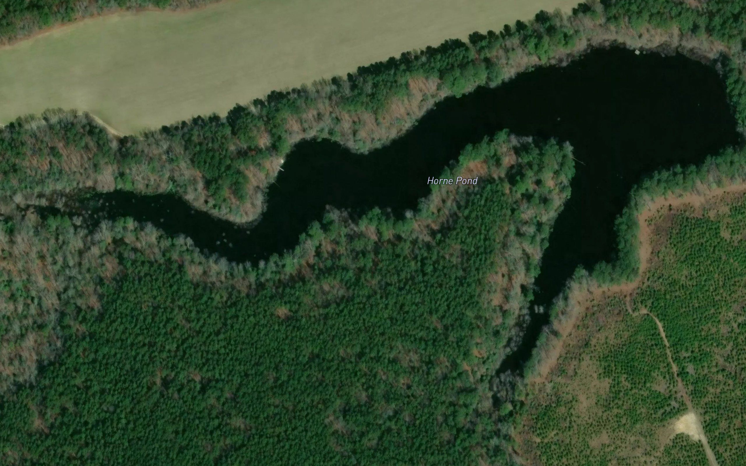 Horne Pond