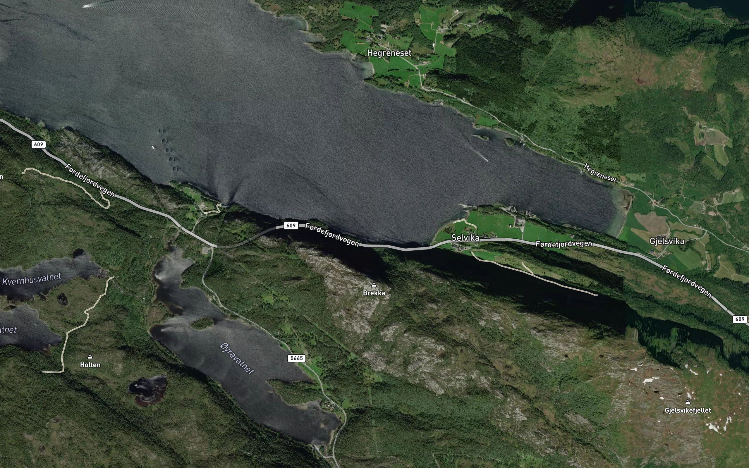 Selvika