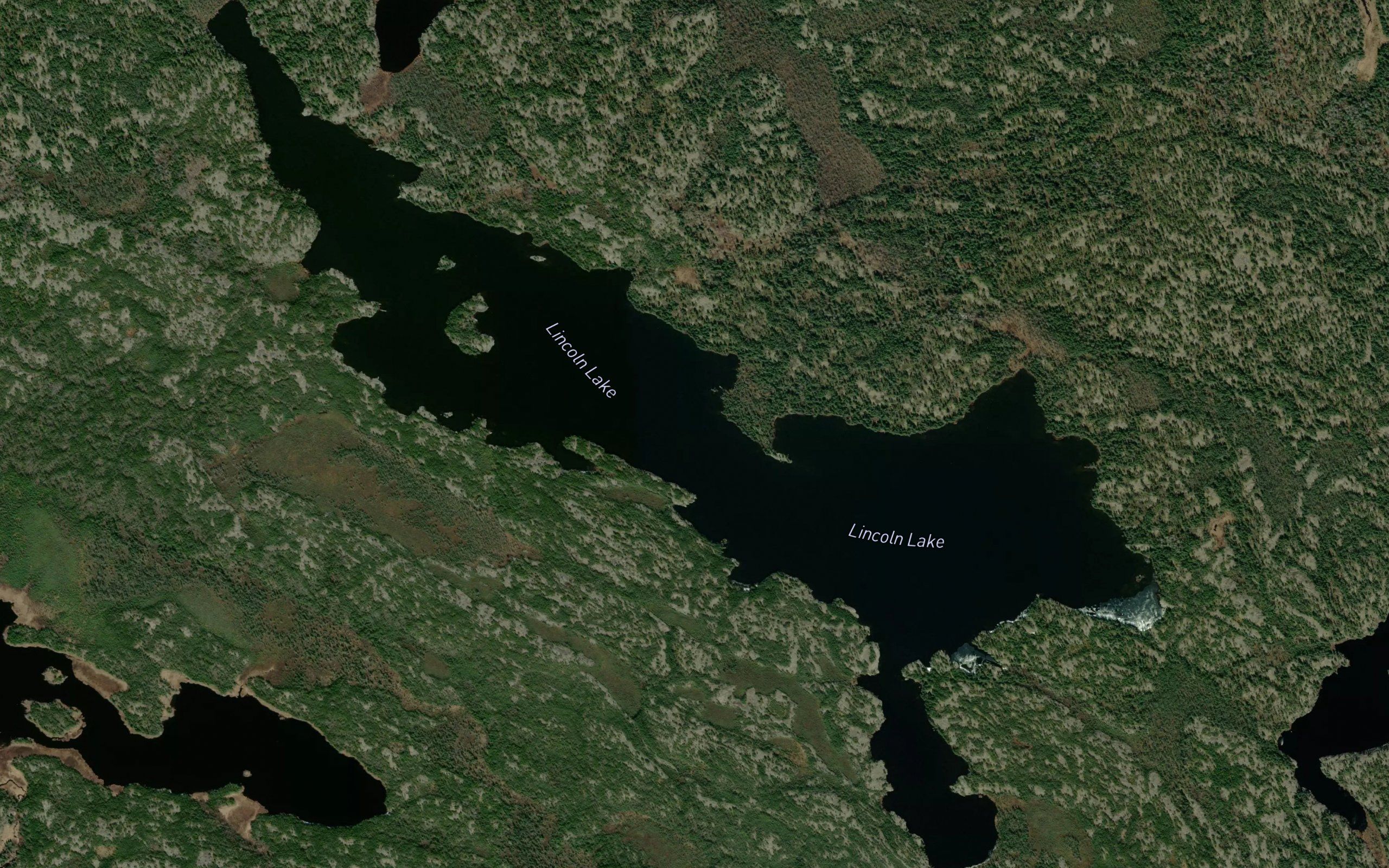 Lincoln Lake