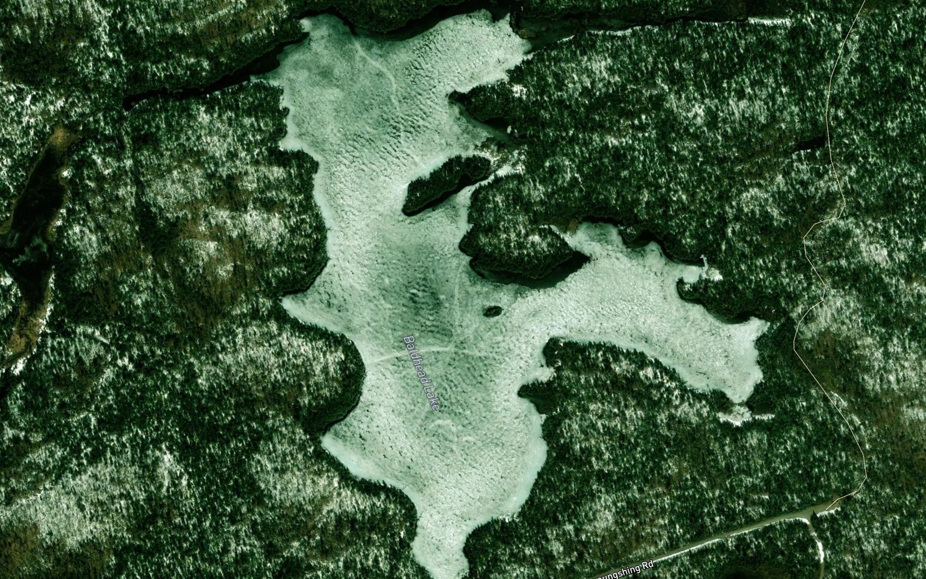 Satellite map of the Baldhead Lake
