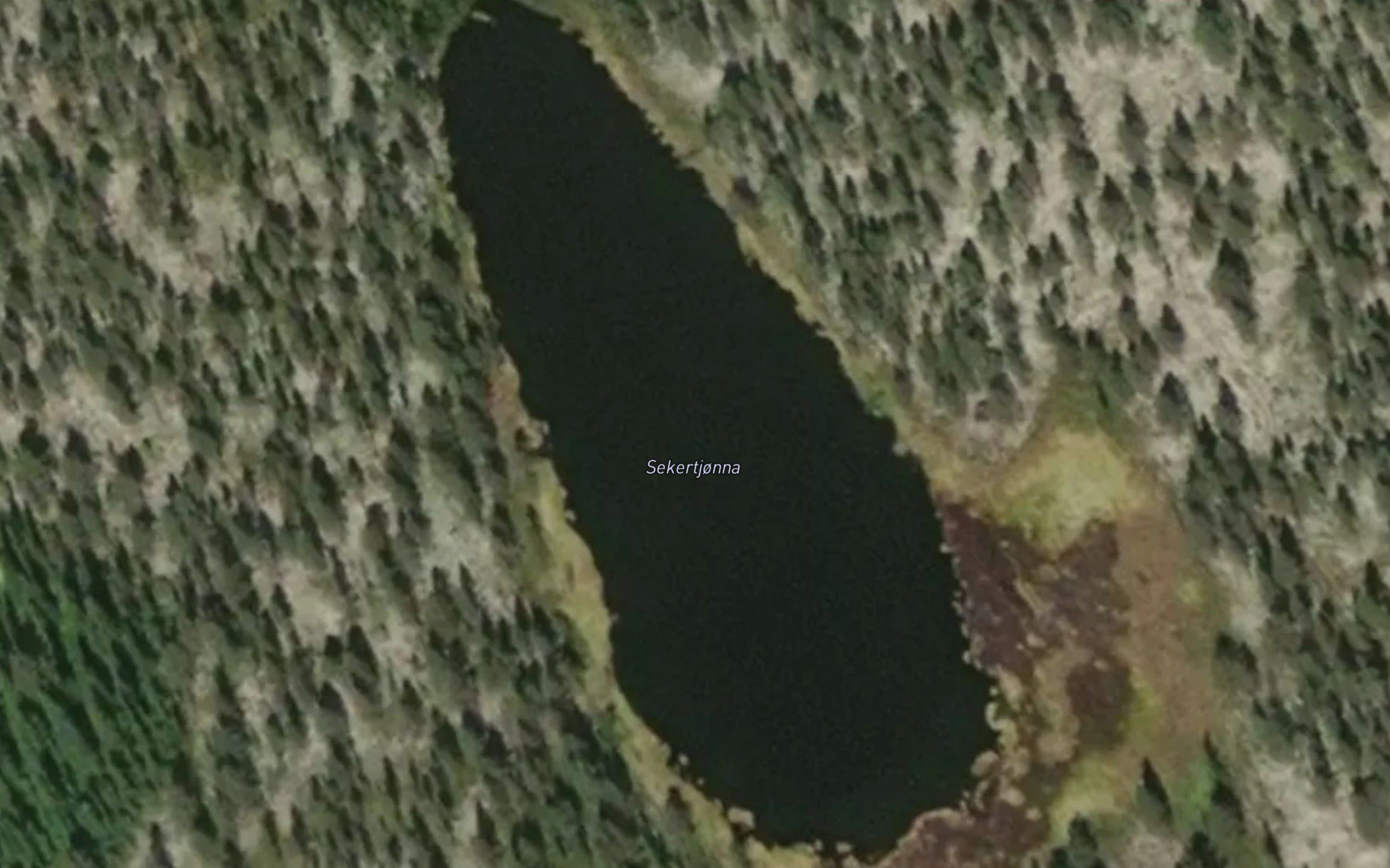 Sekertjorna