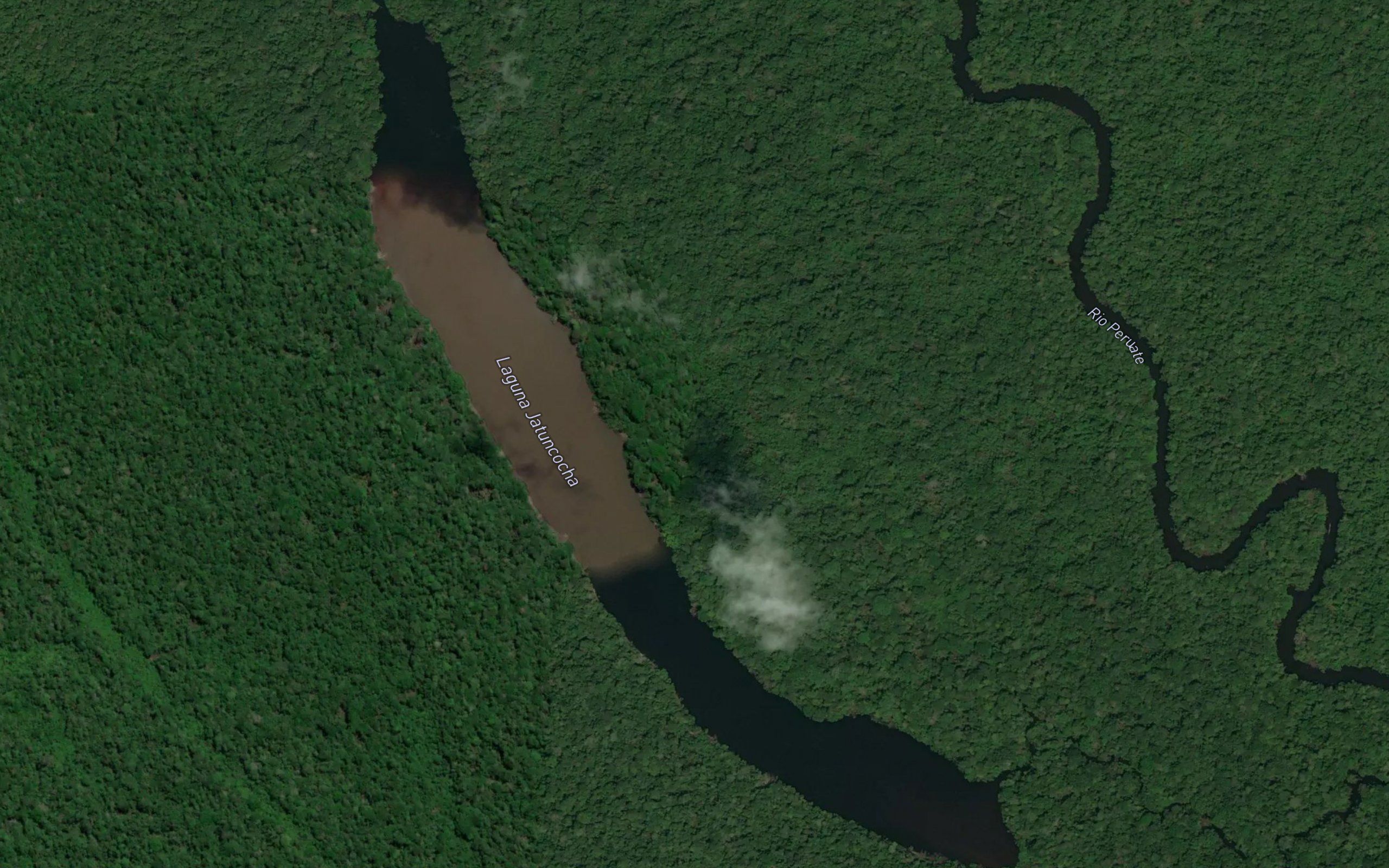 Laguna Jatuncocha