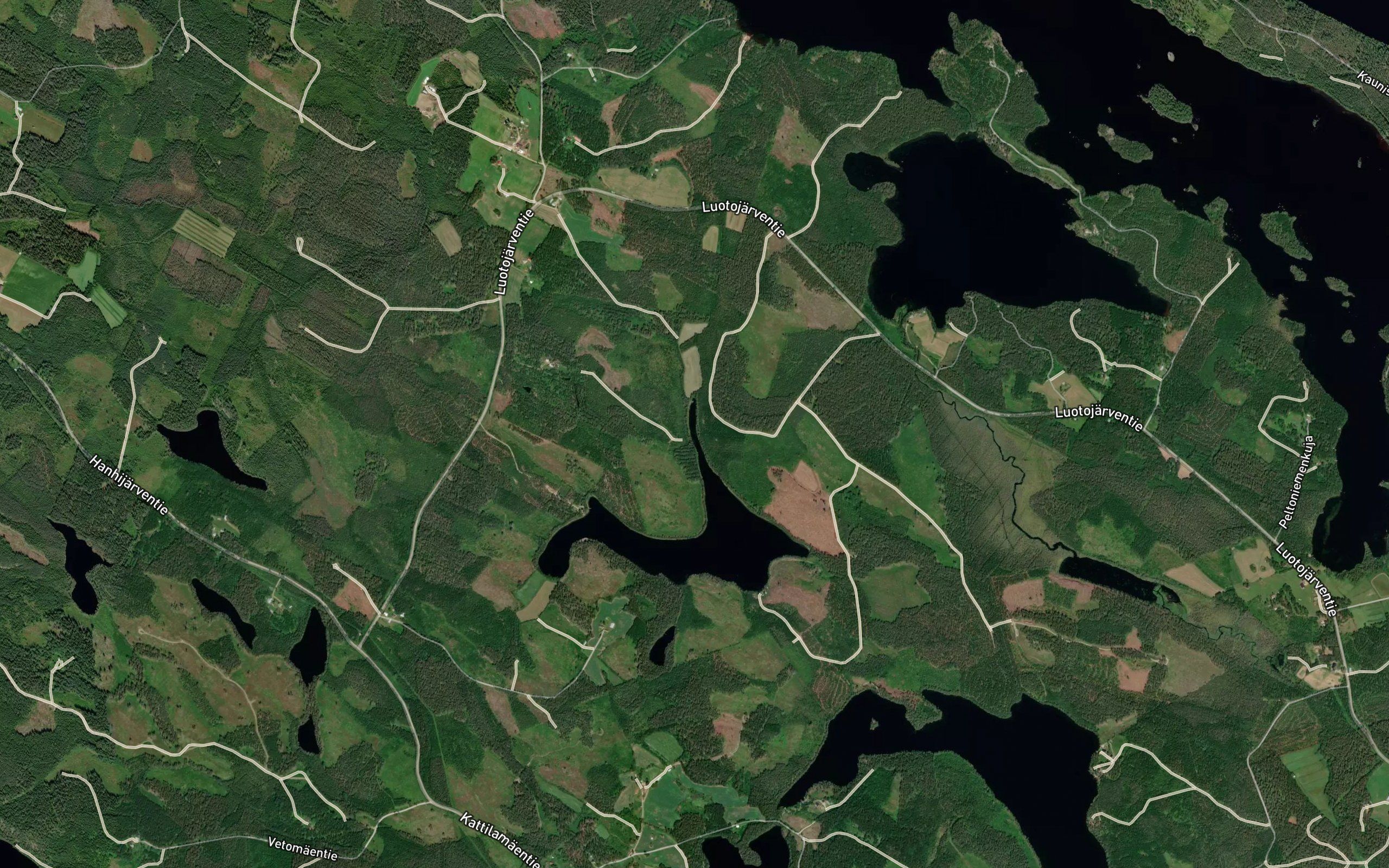 Horkkalahti