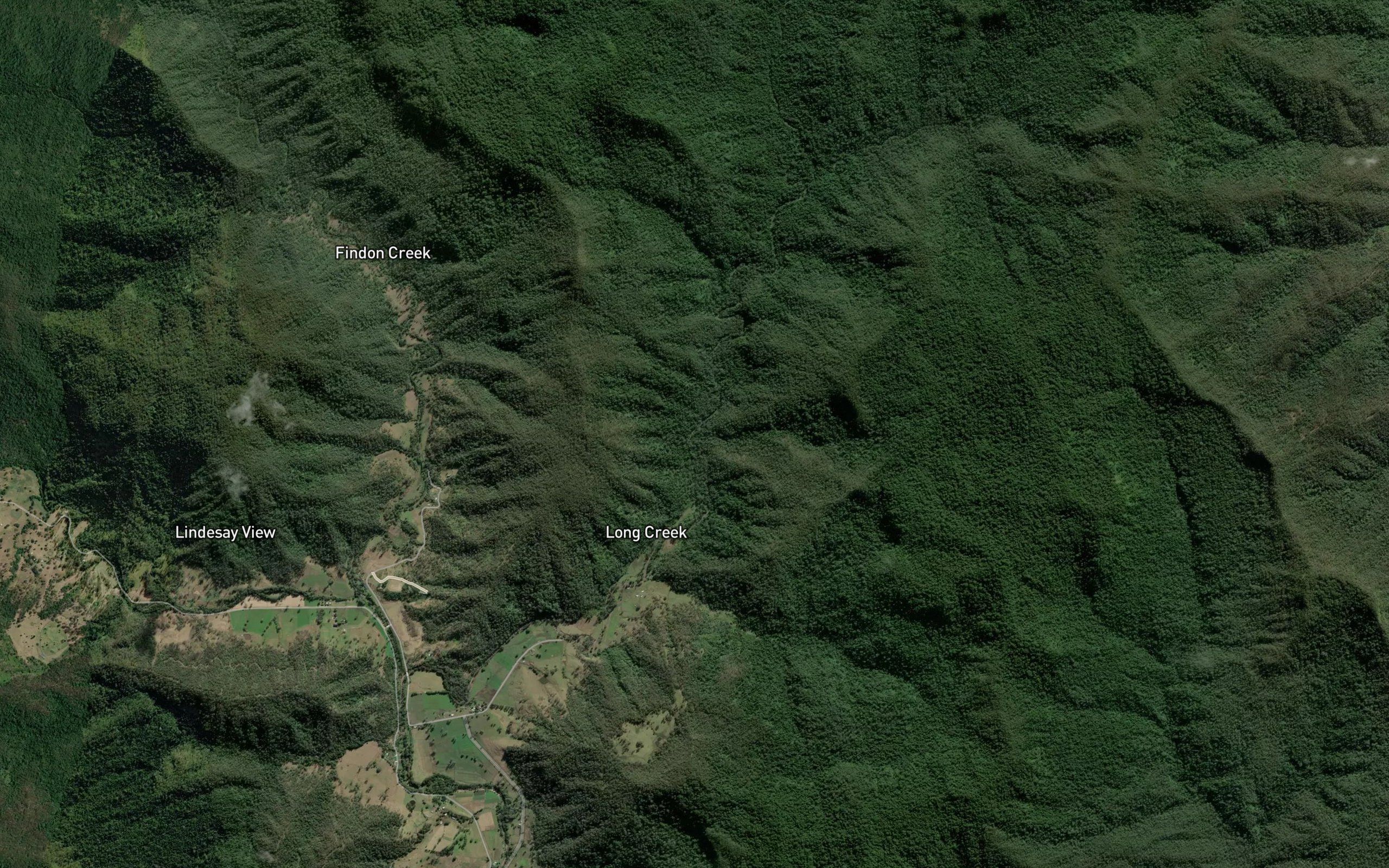 Palm Gully