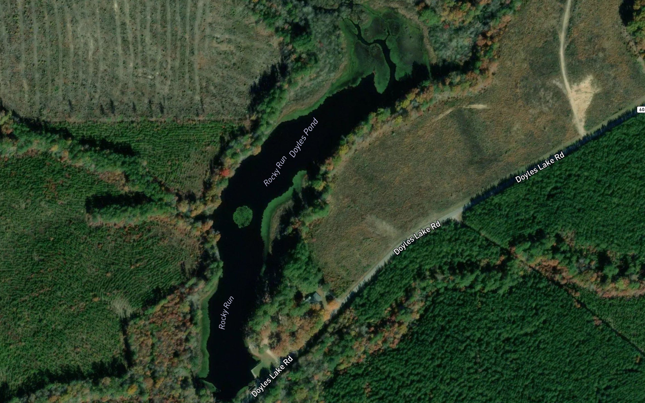 Doyles Pond