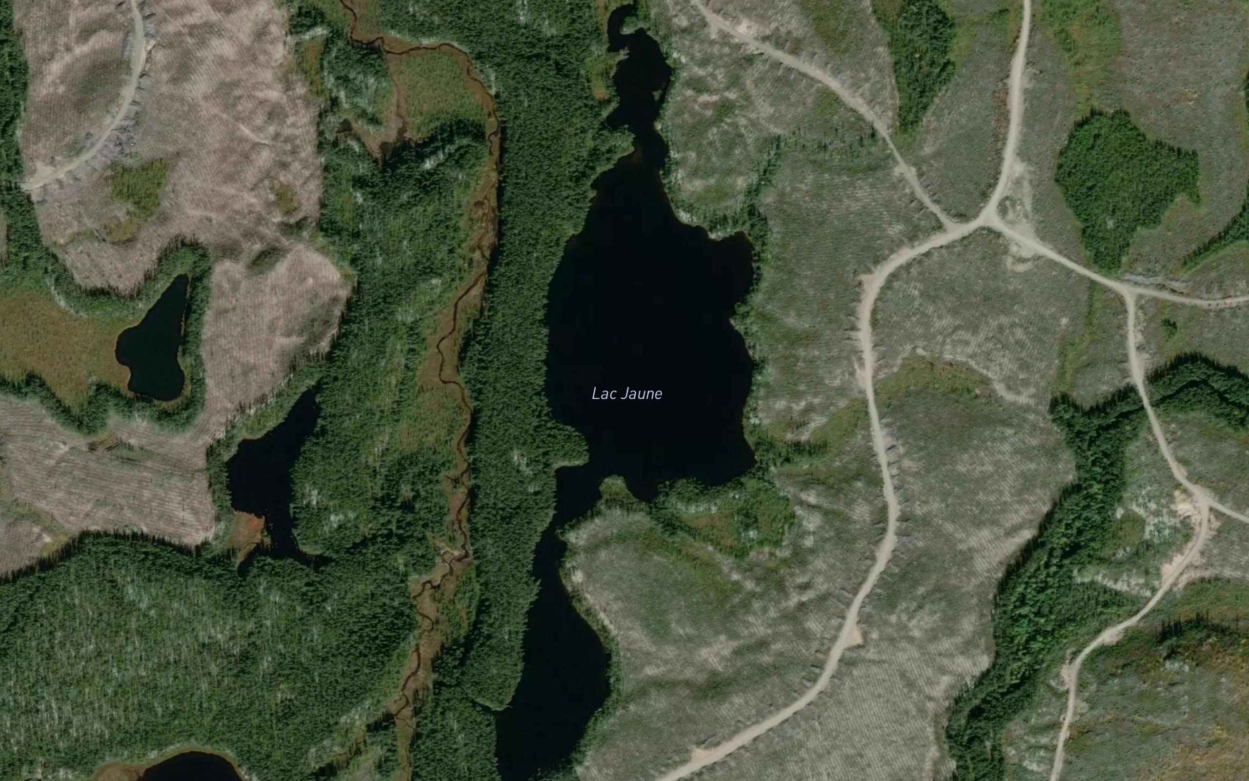Lac Jaune