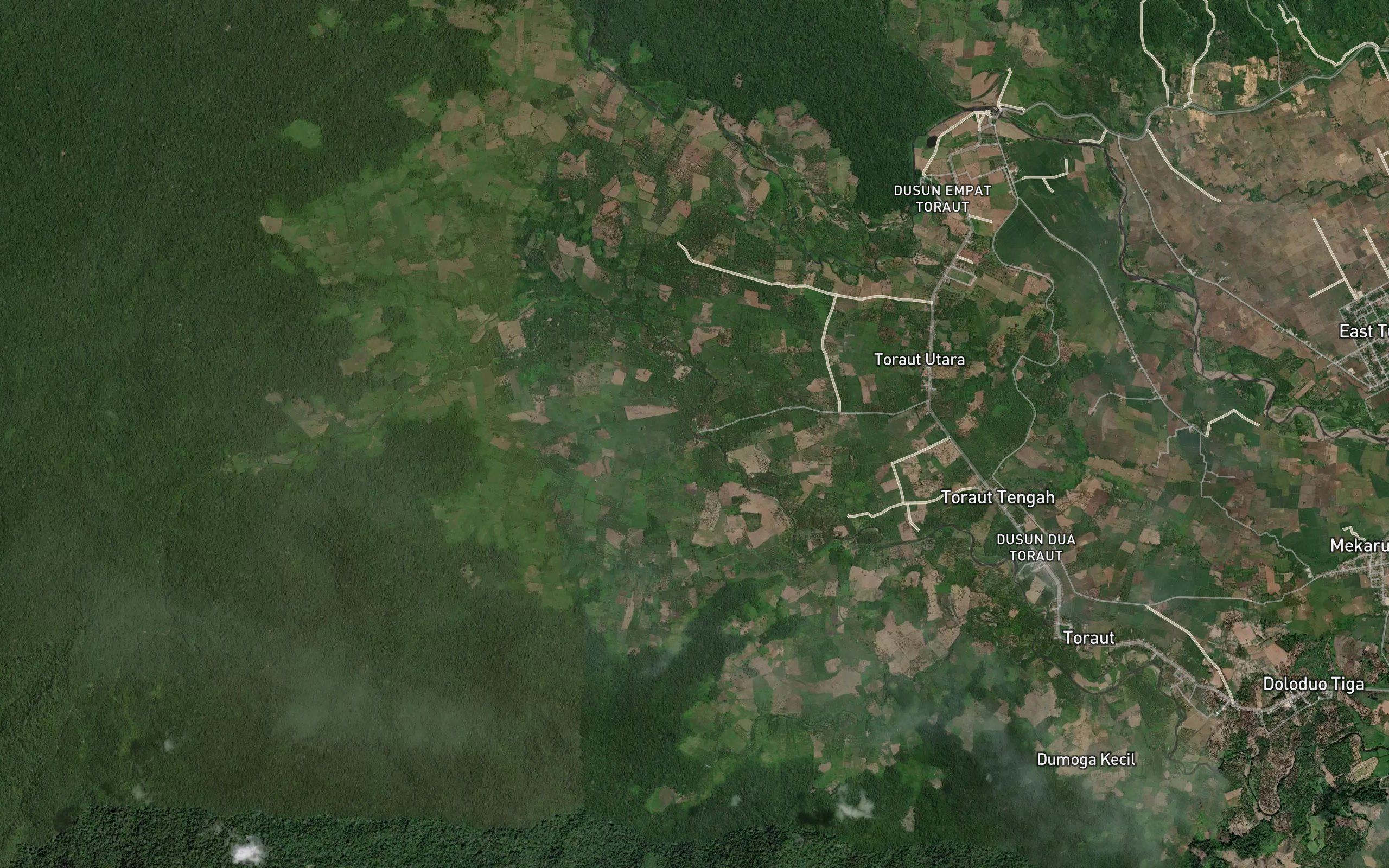 Minanga Tuod