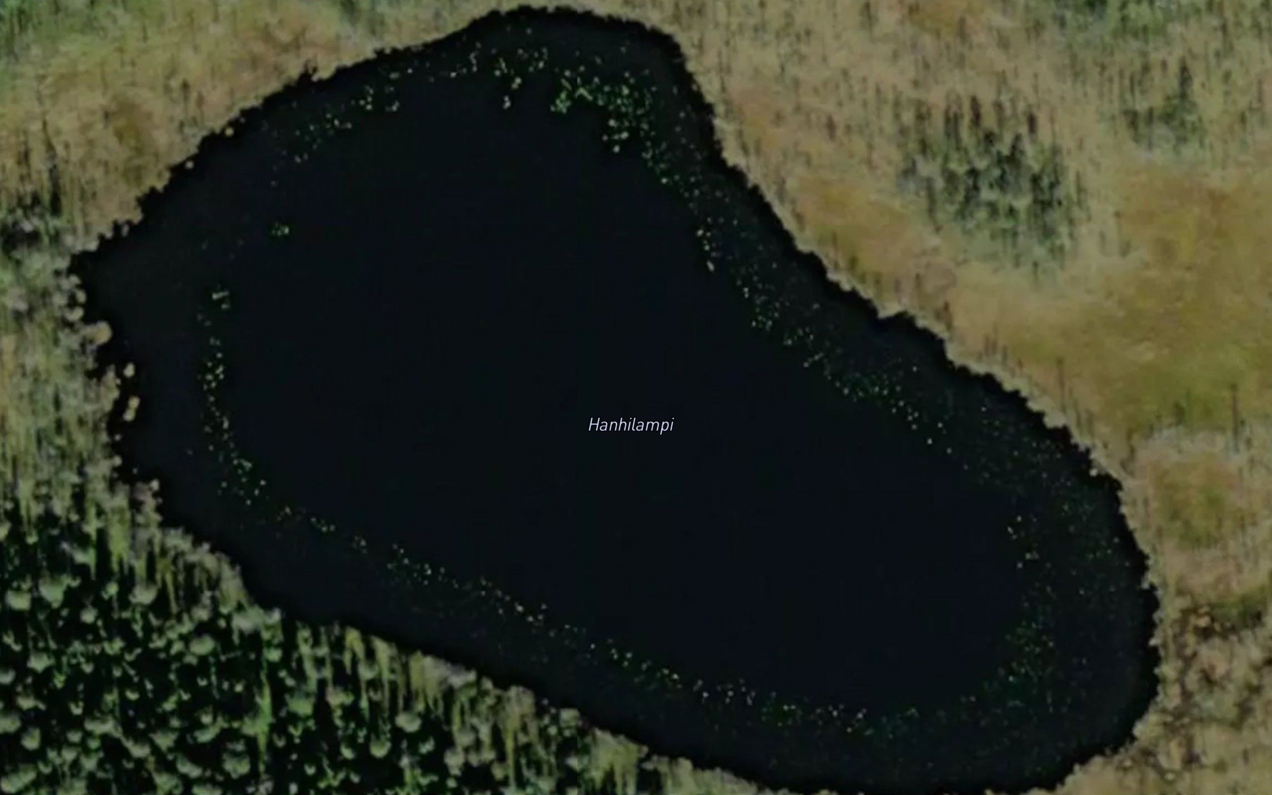 Hanhilampi