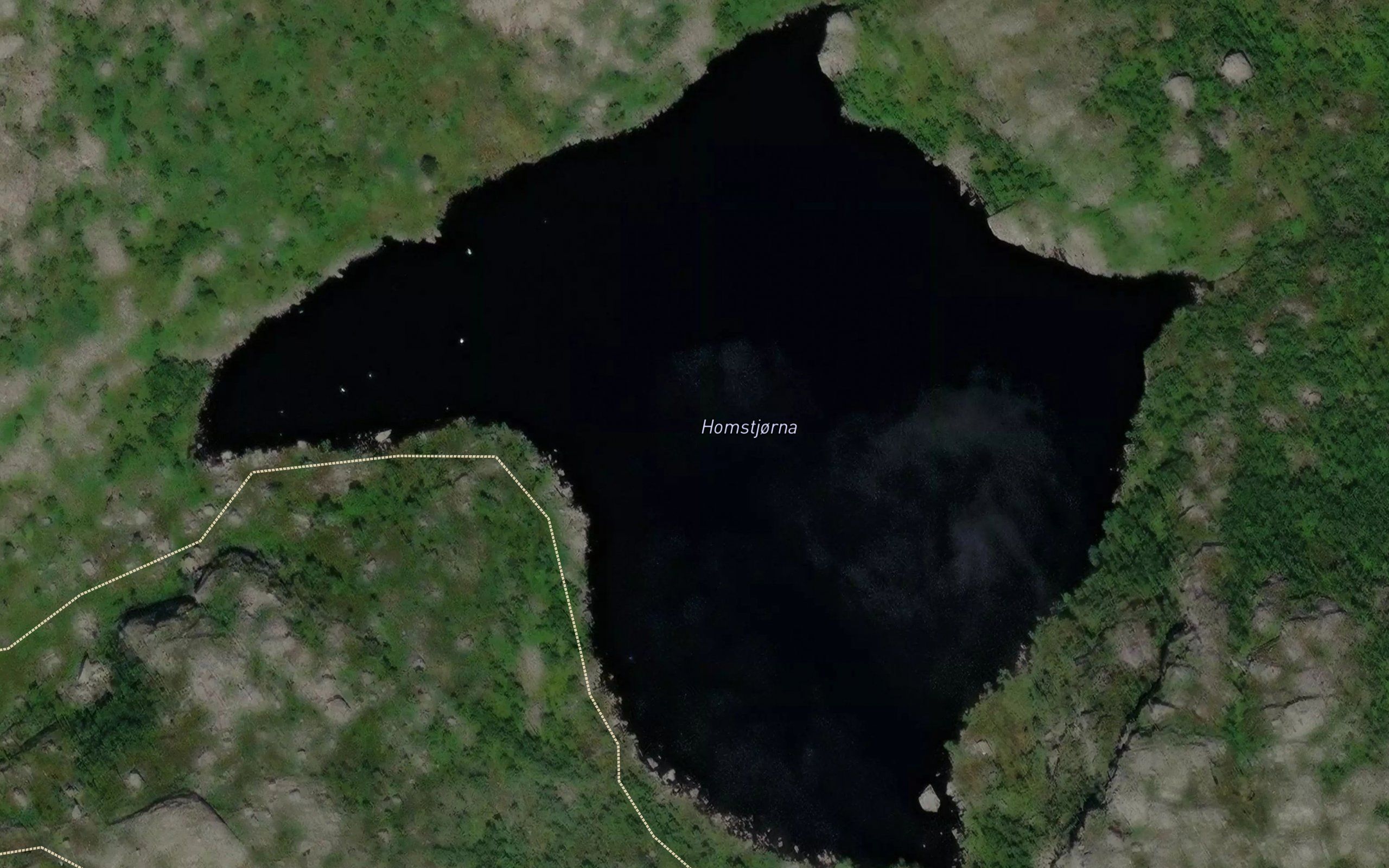 Homstjorna
