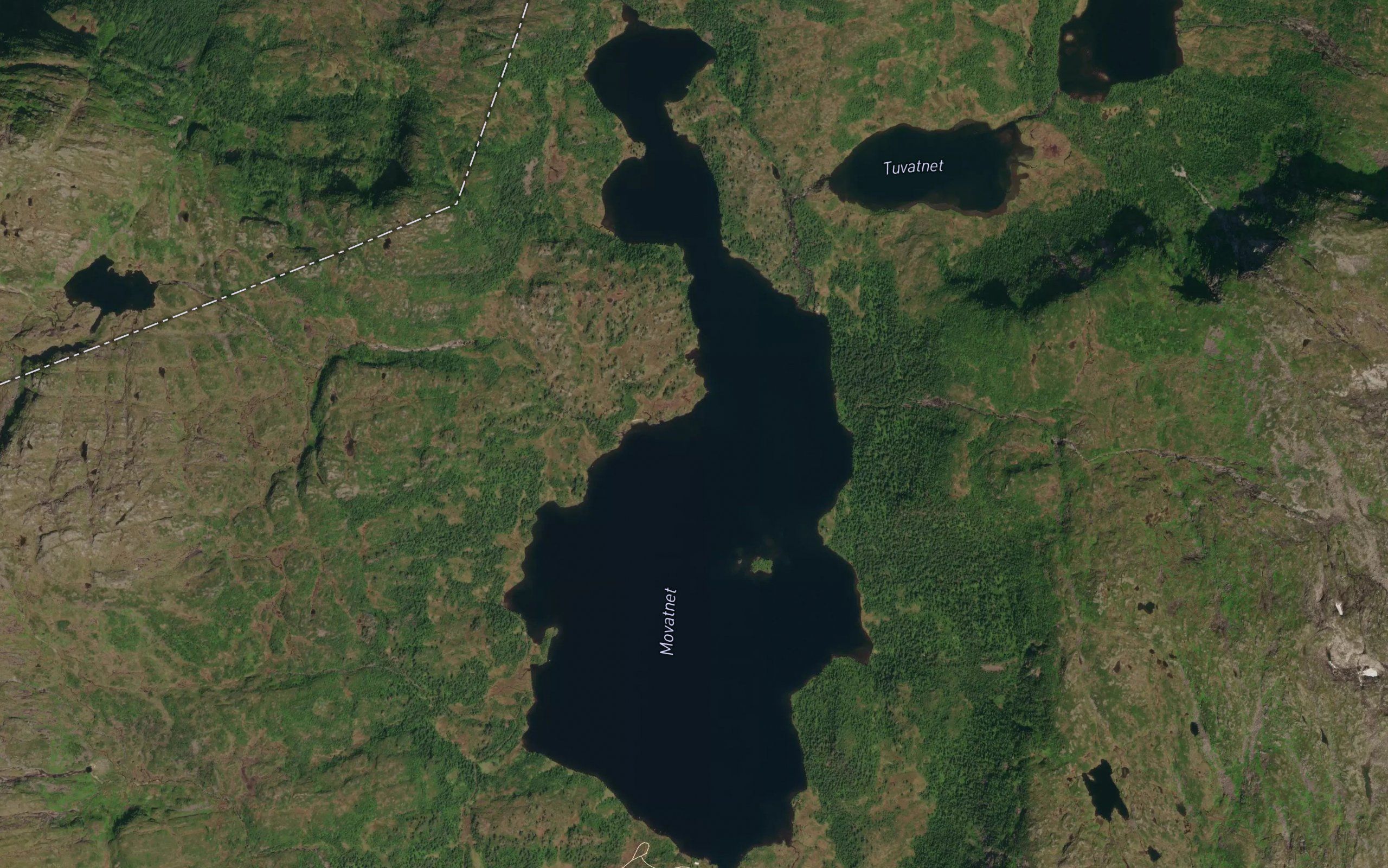 Movatnet