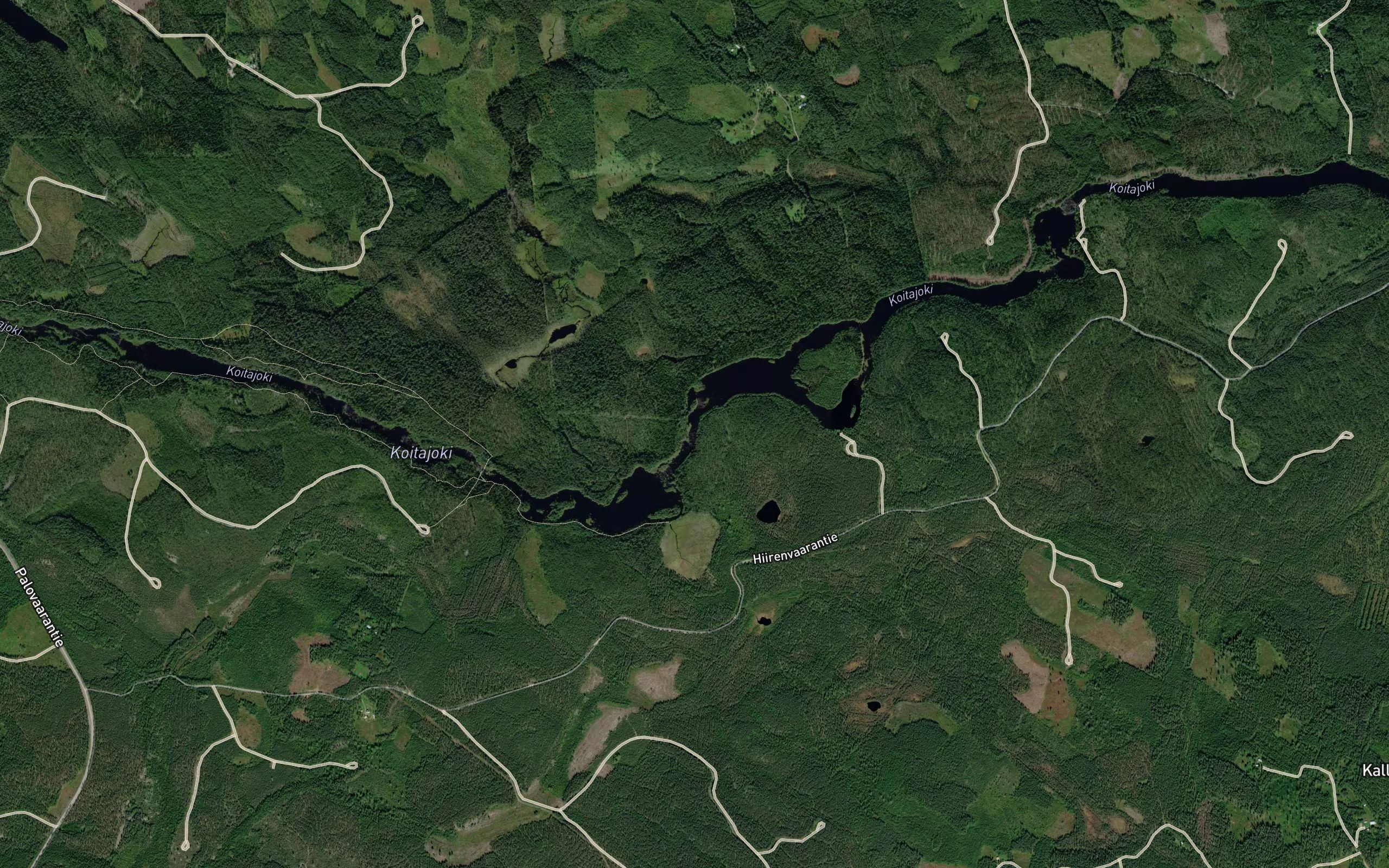 Lohikoski
