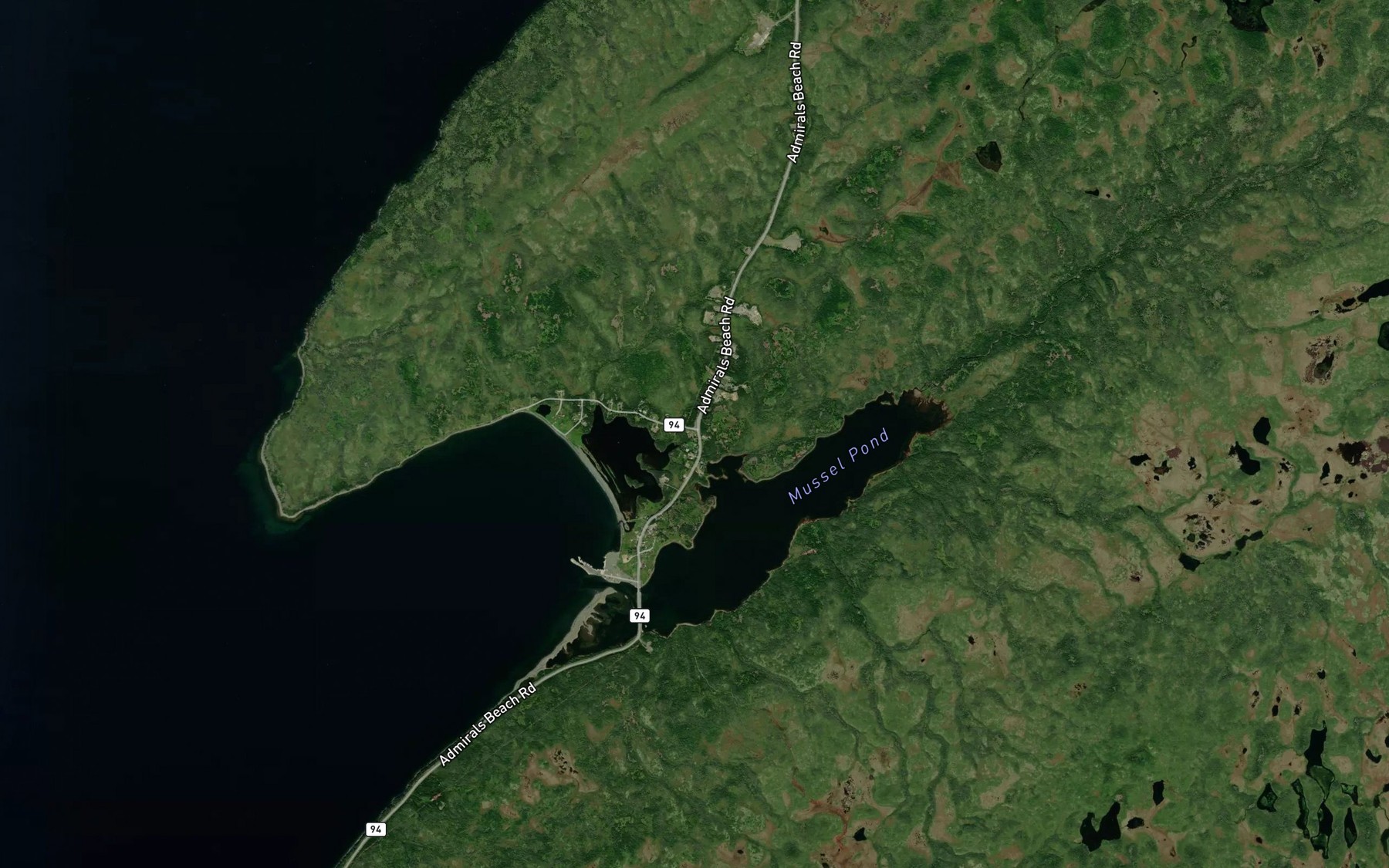 Satellite map of the Trout River