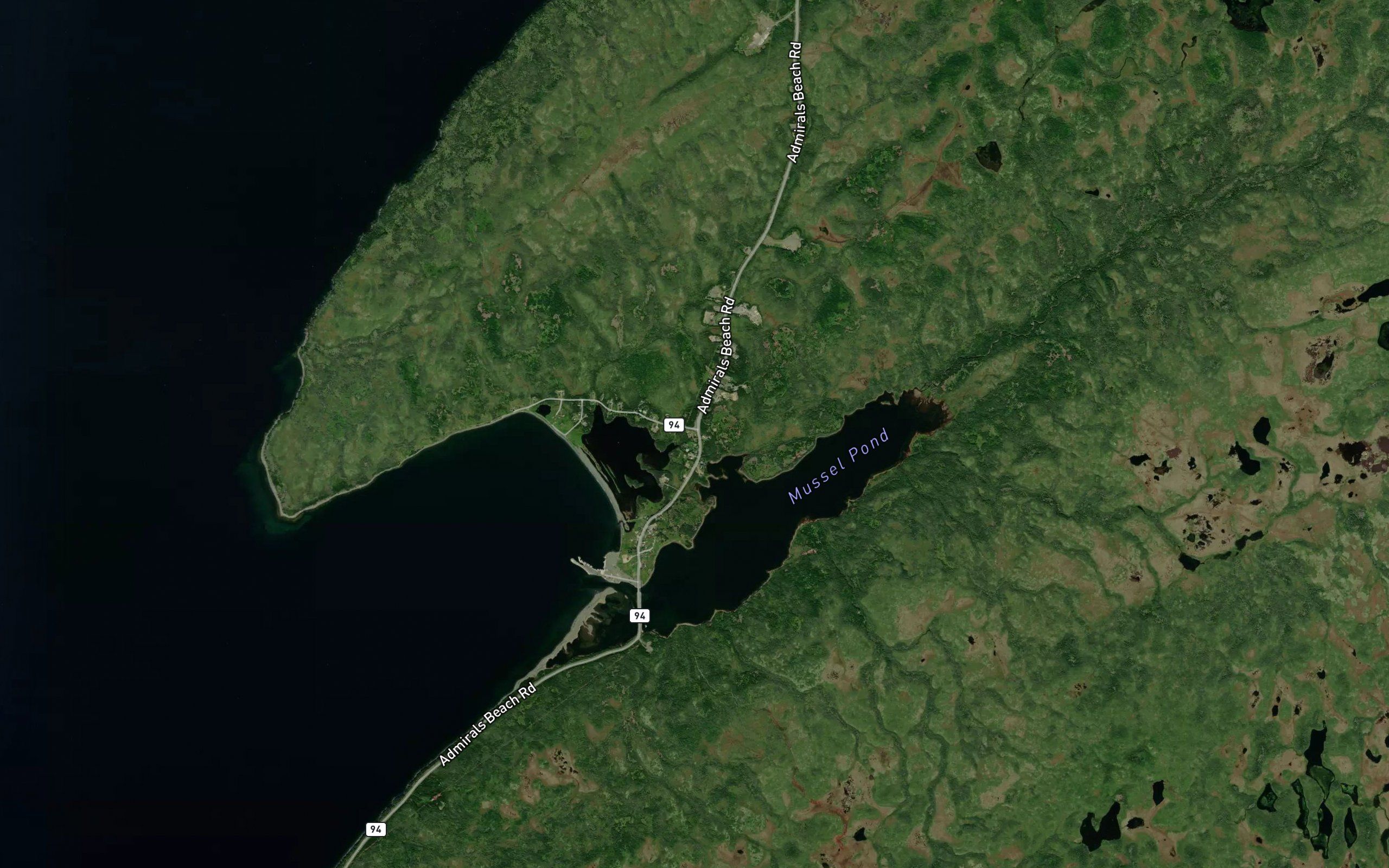 Trout River