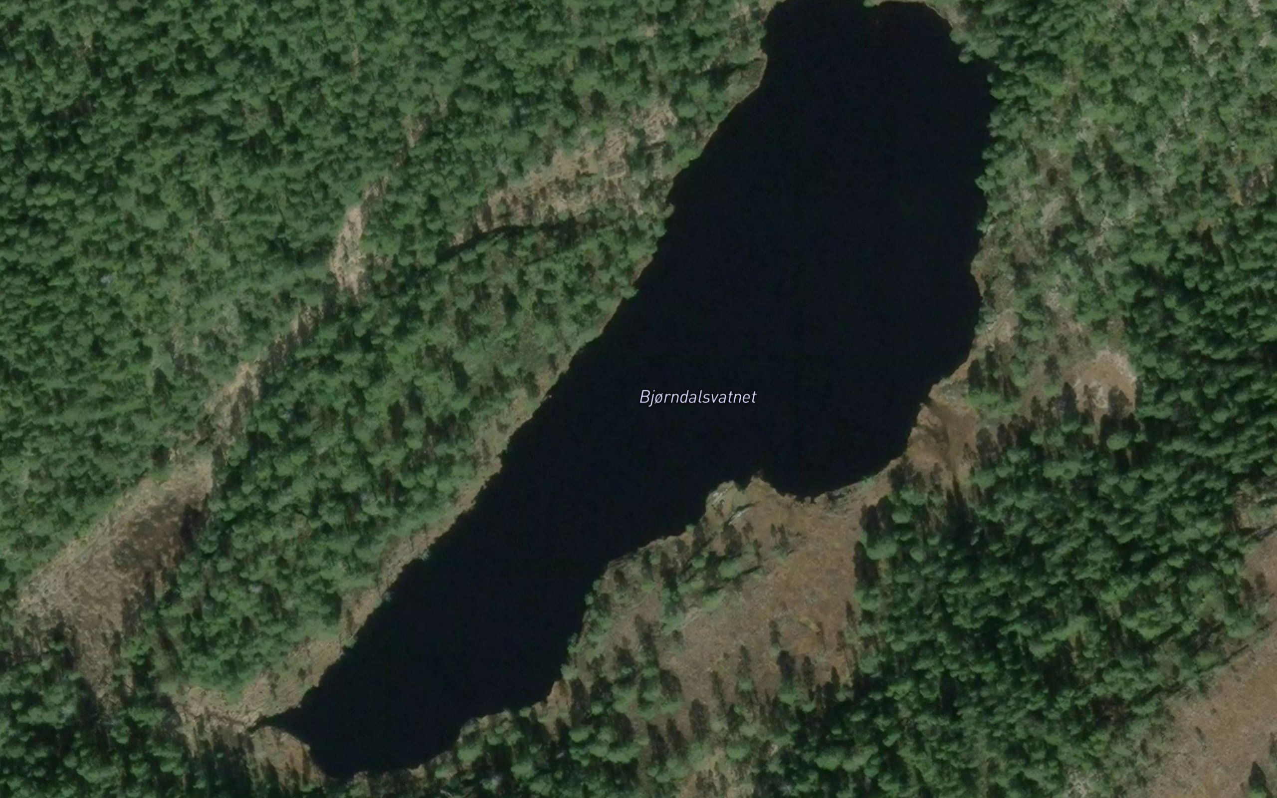 Bjorndalsvatnet