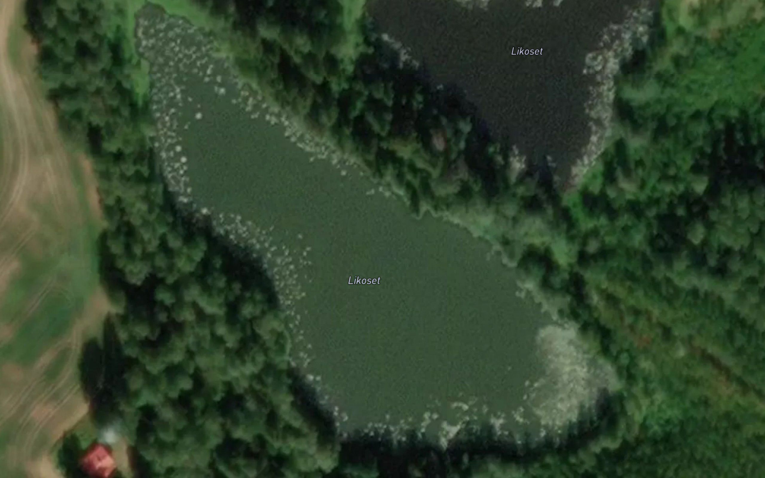 Likoset