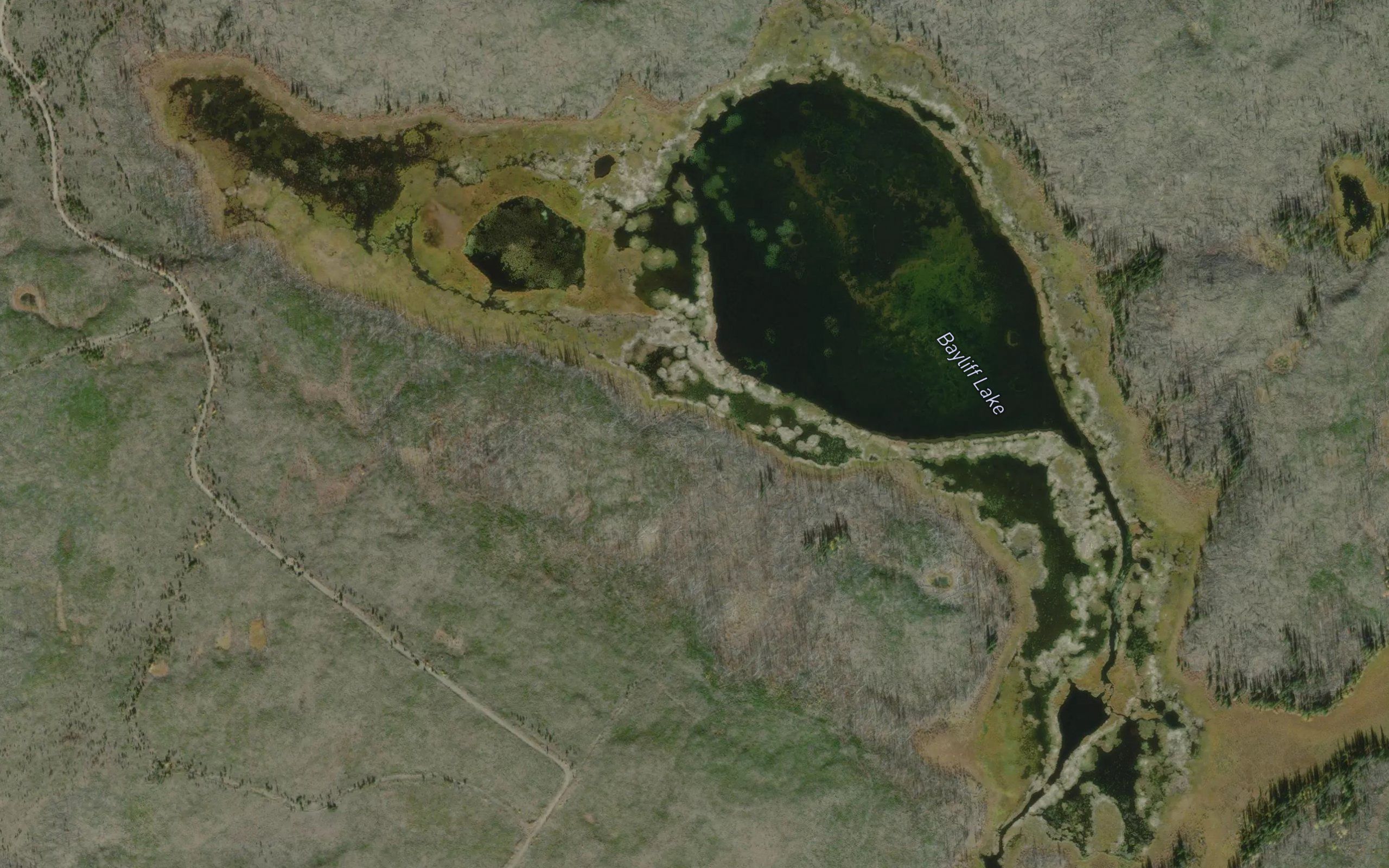 Bayliff Lake