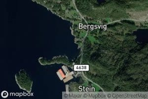 Bergsvika