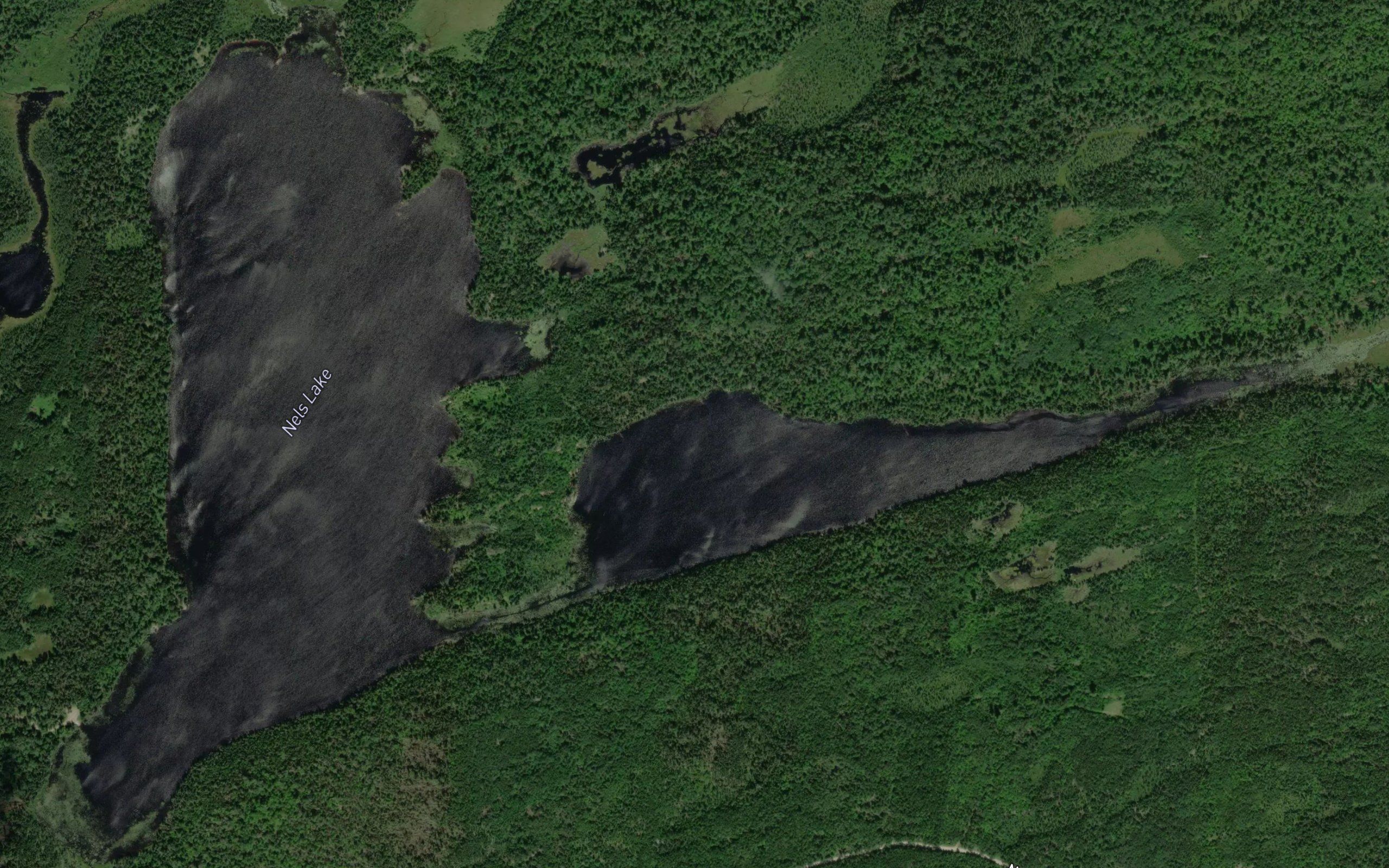 Nels Lake
