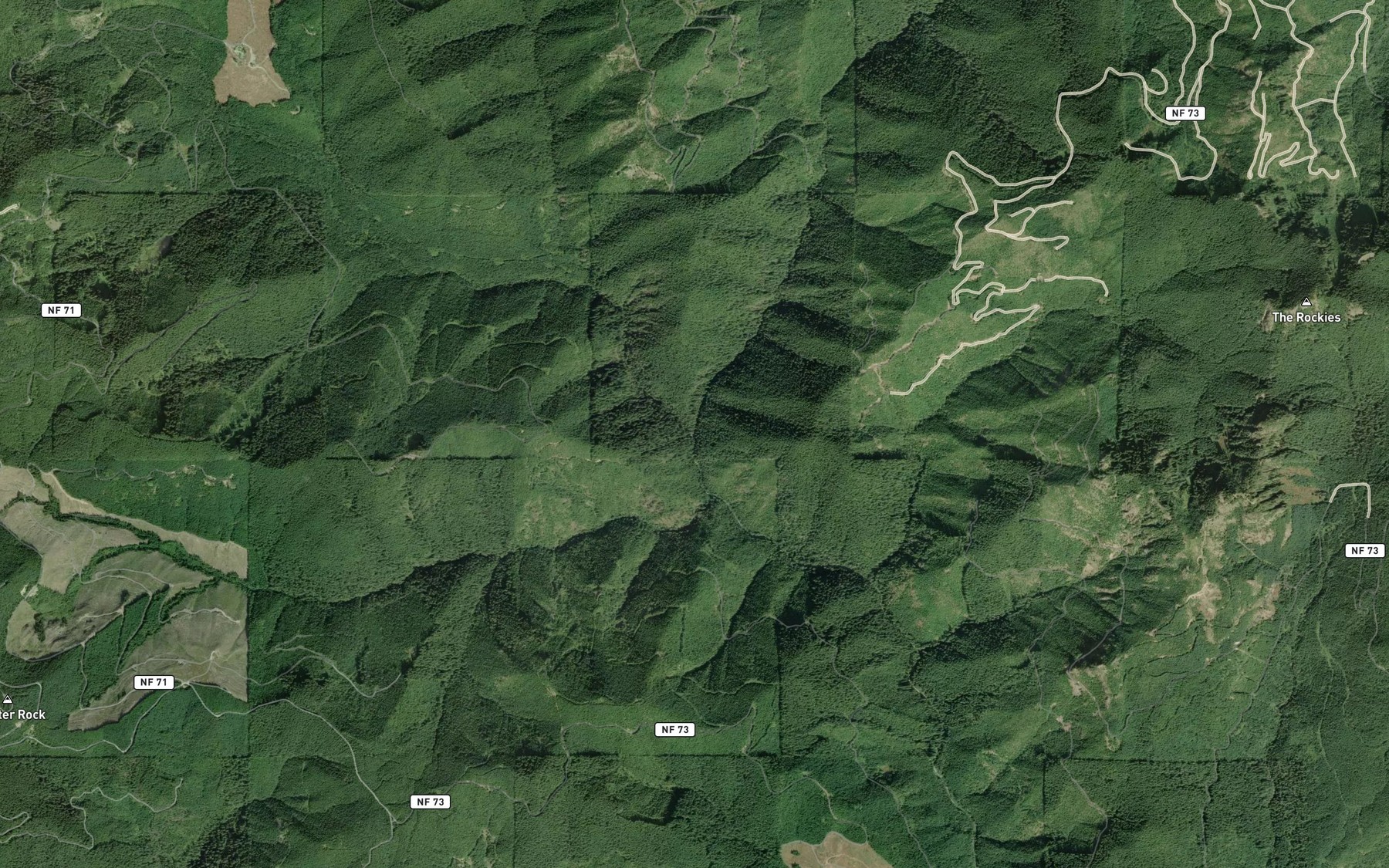 Satellite map of the Winnie Creek