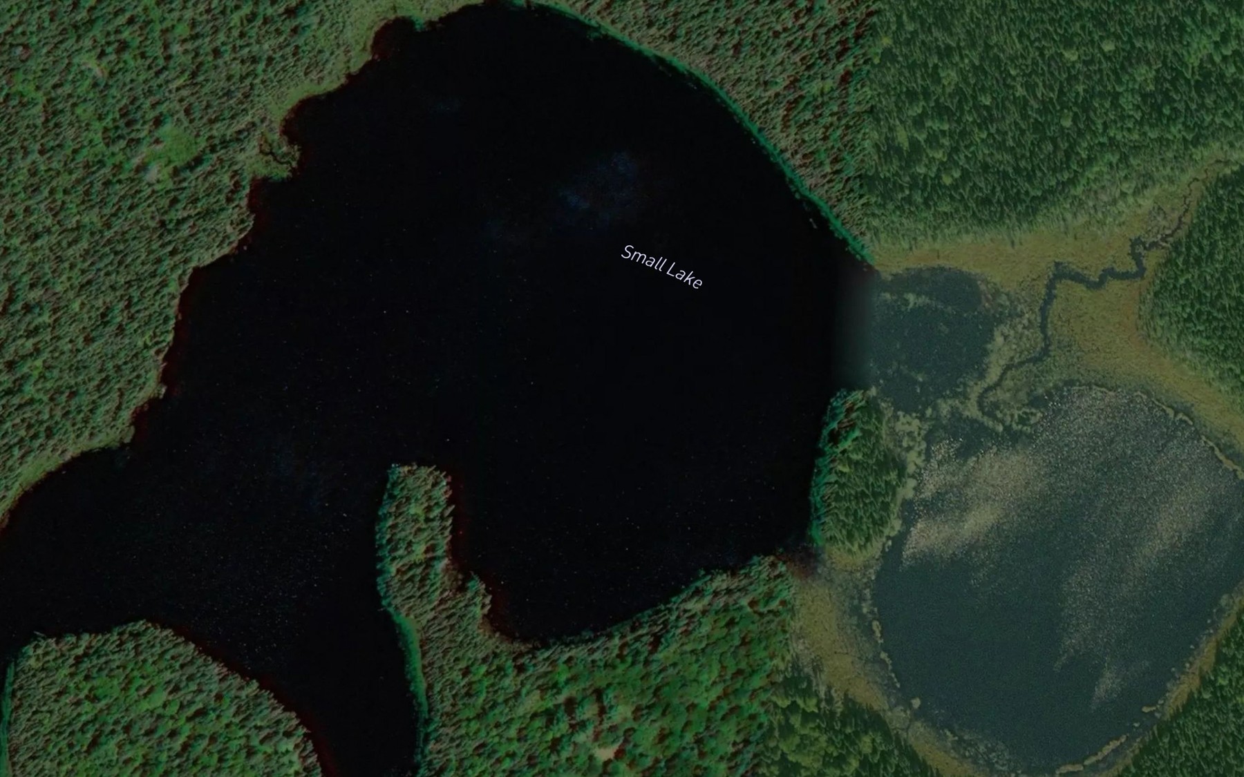 Satellite map of the Small Lake