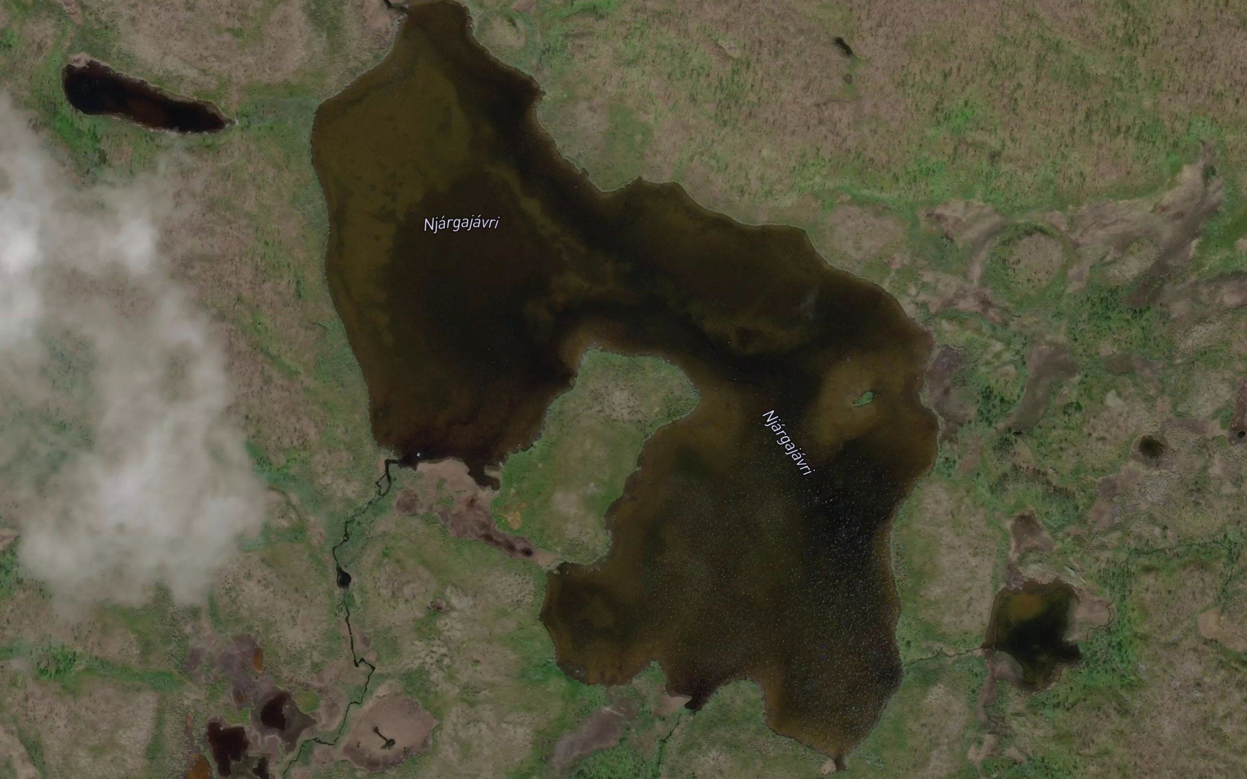 Njargajavri