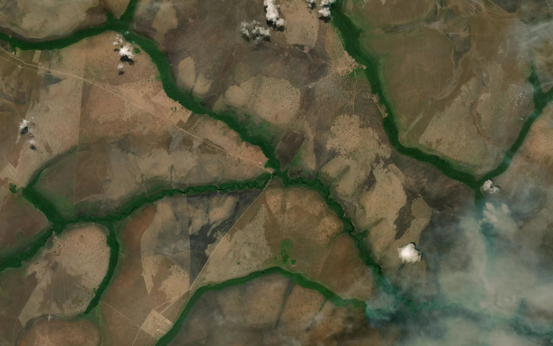 Satellite map of the Cano Las Brisas